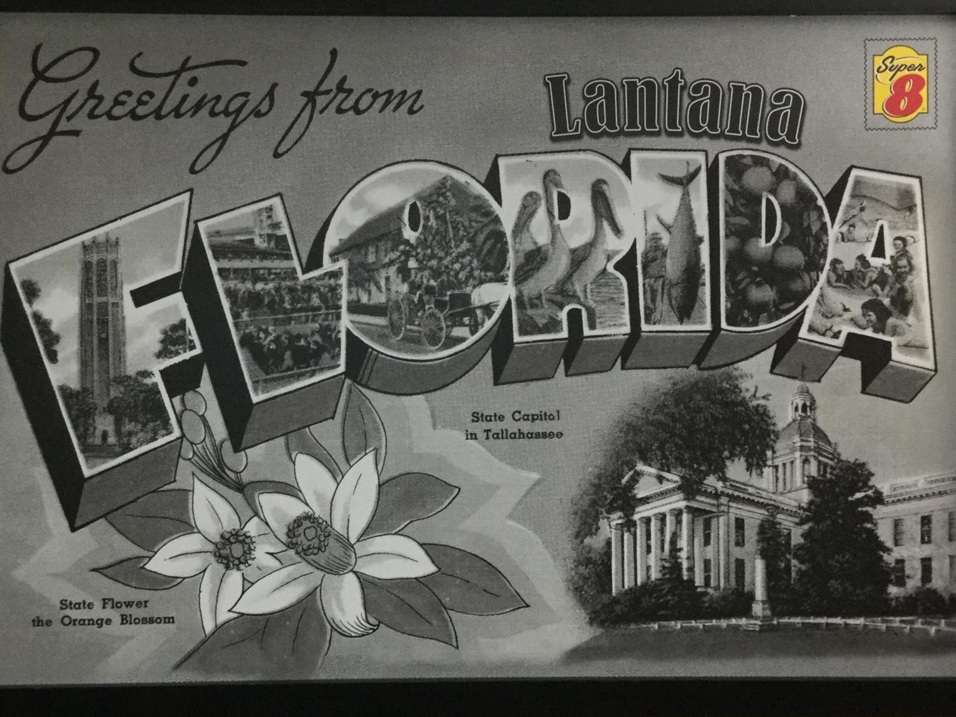 Super 8 by Wyndham Lantana West Palm Beach photo 24