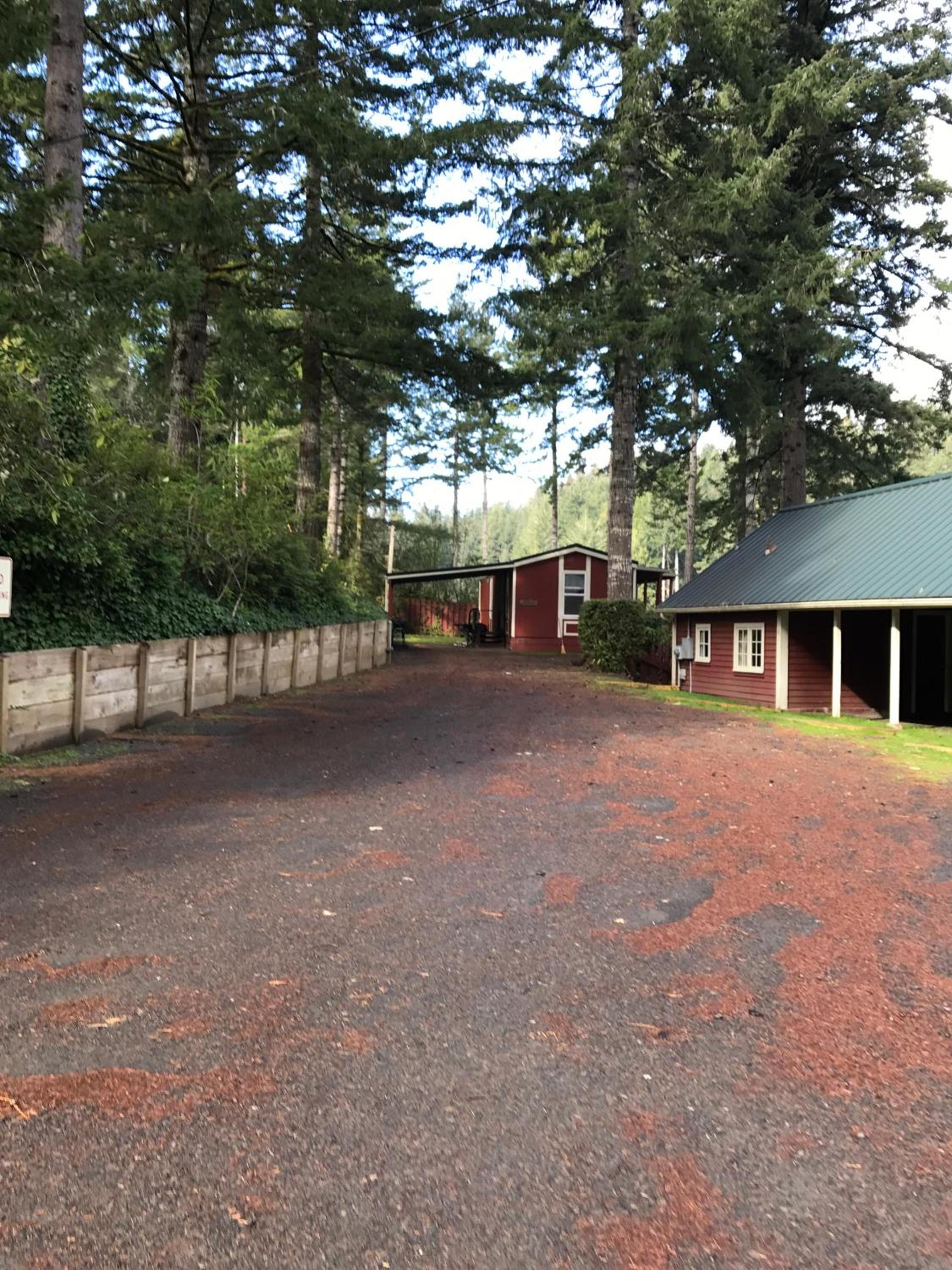 Mercer Lake Resort and Beach photo 95