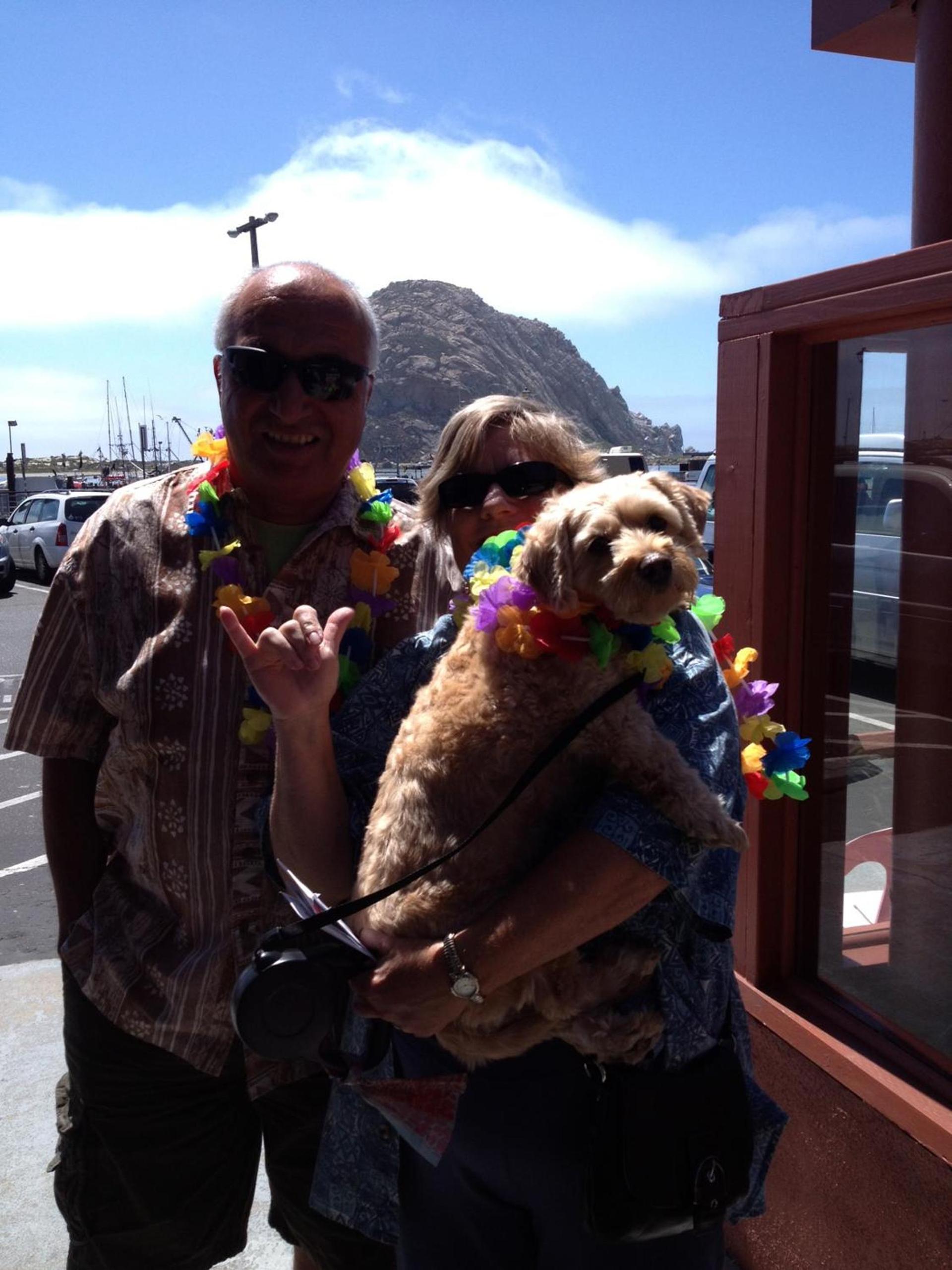 Bayfront Inn photo 10