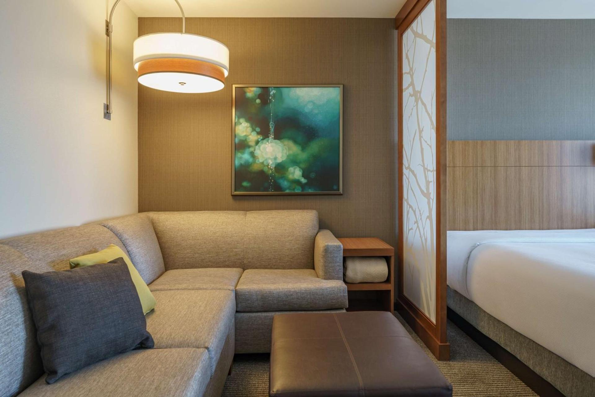 Hyatt Place Houston Galleria photo 67