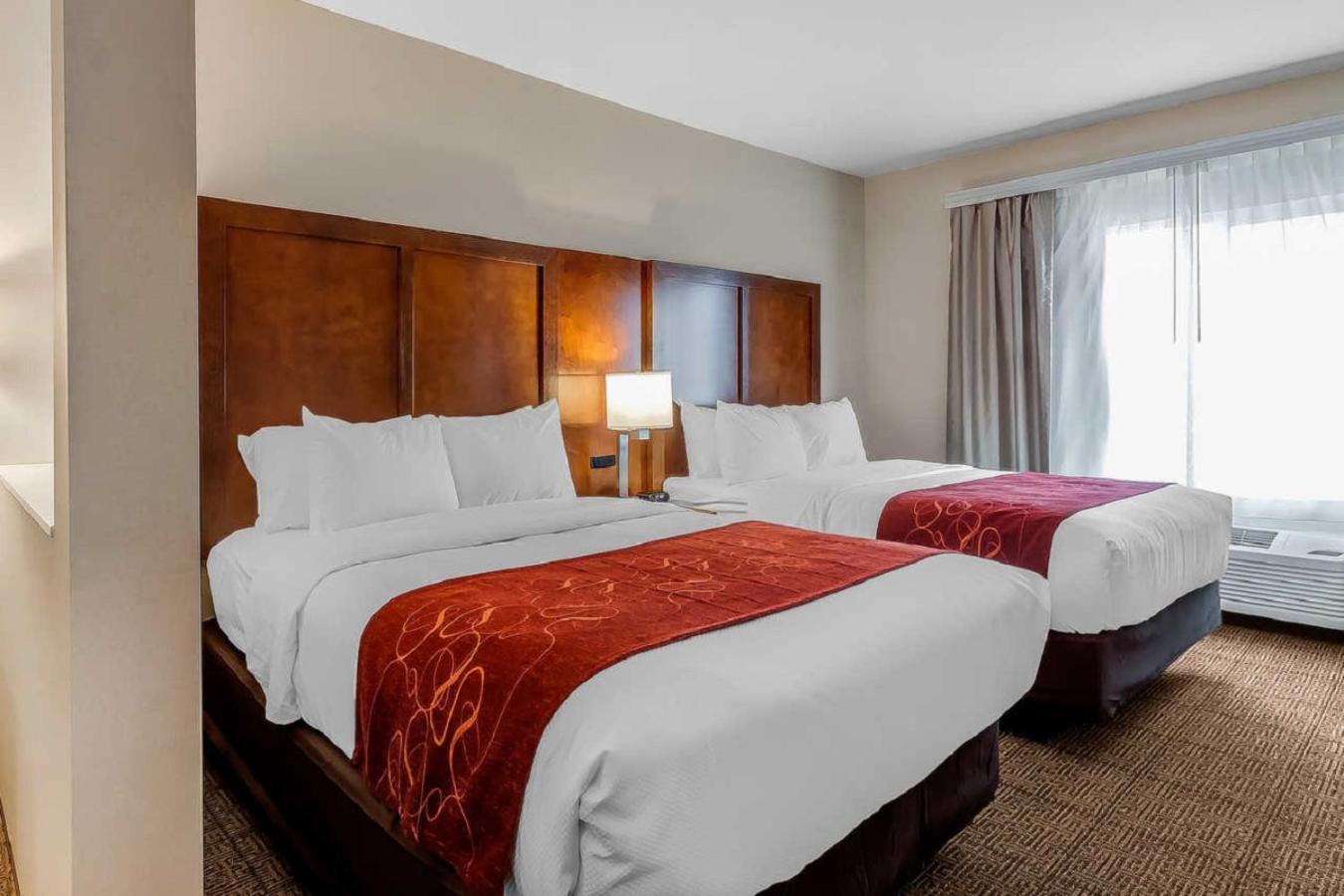 Comfort Suites photo 49