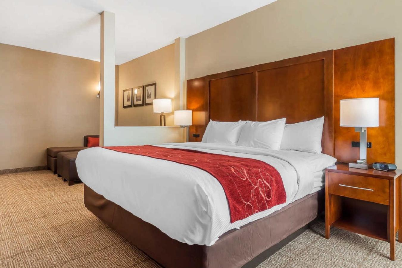 Comfort Suites photo 55