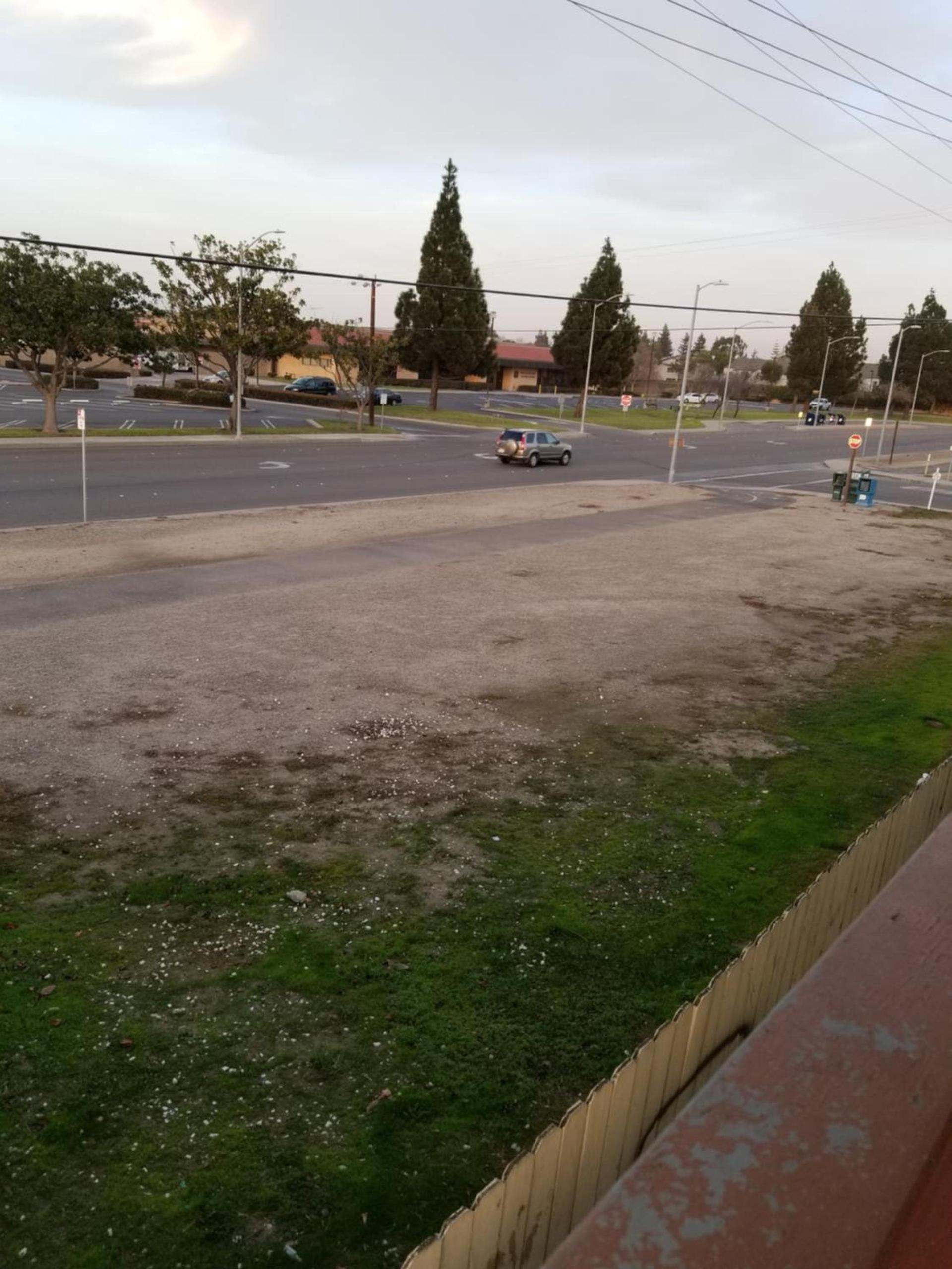 Buckboard Motel photo 6