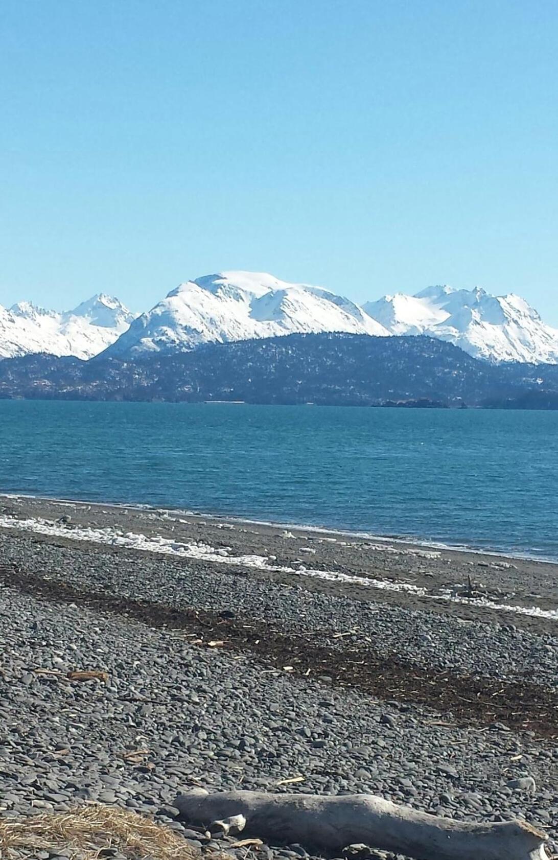 Beluga Lake Lodge photo 15