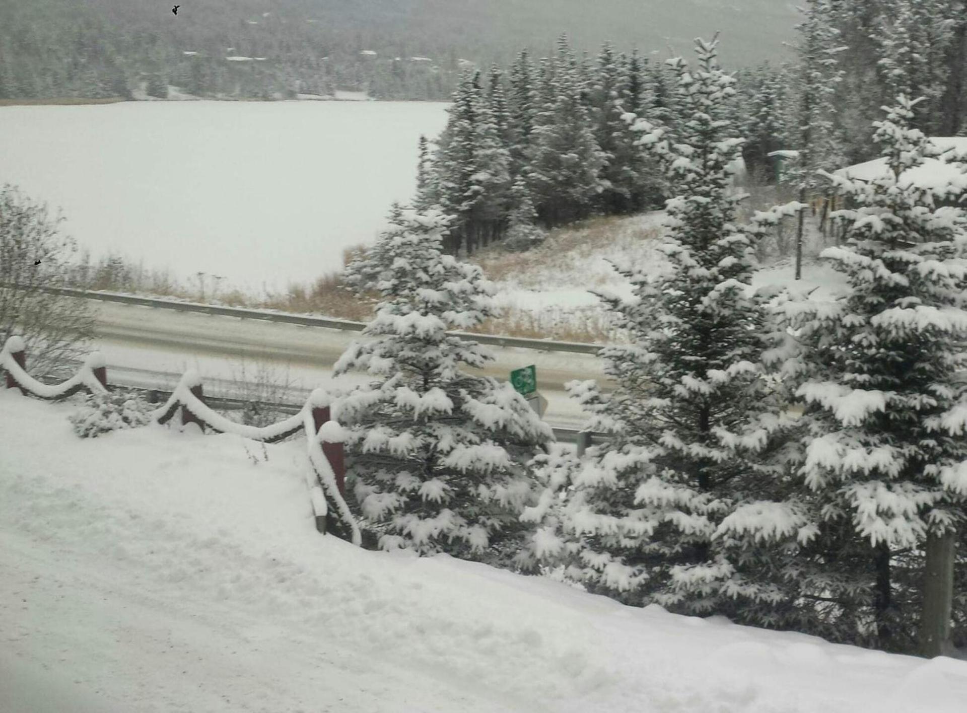 Beluga Lake Lodge photo 16