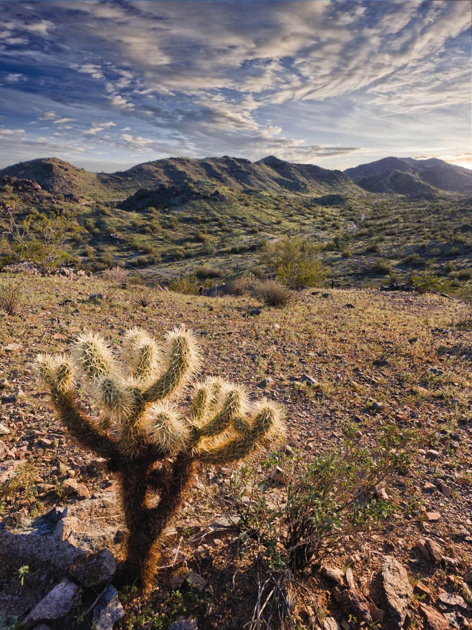 WorldMark Phoenix - South Mountain Preserve photo 20