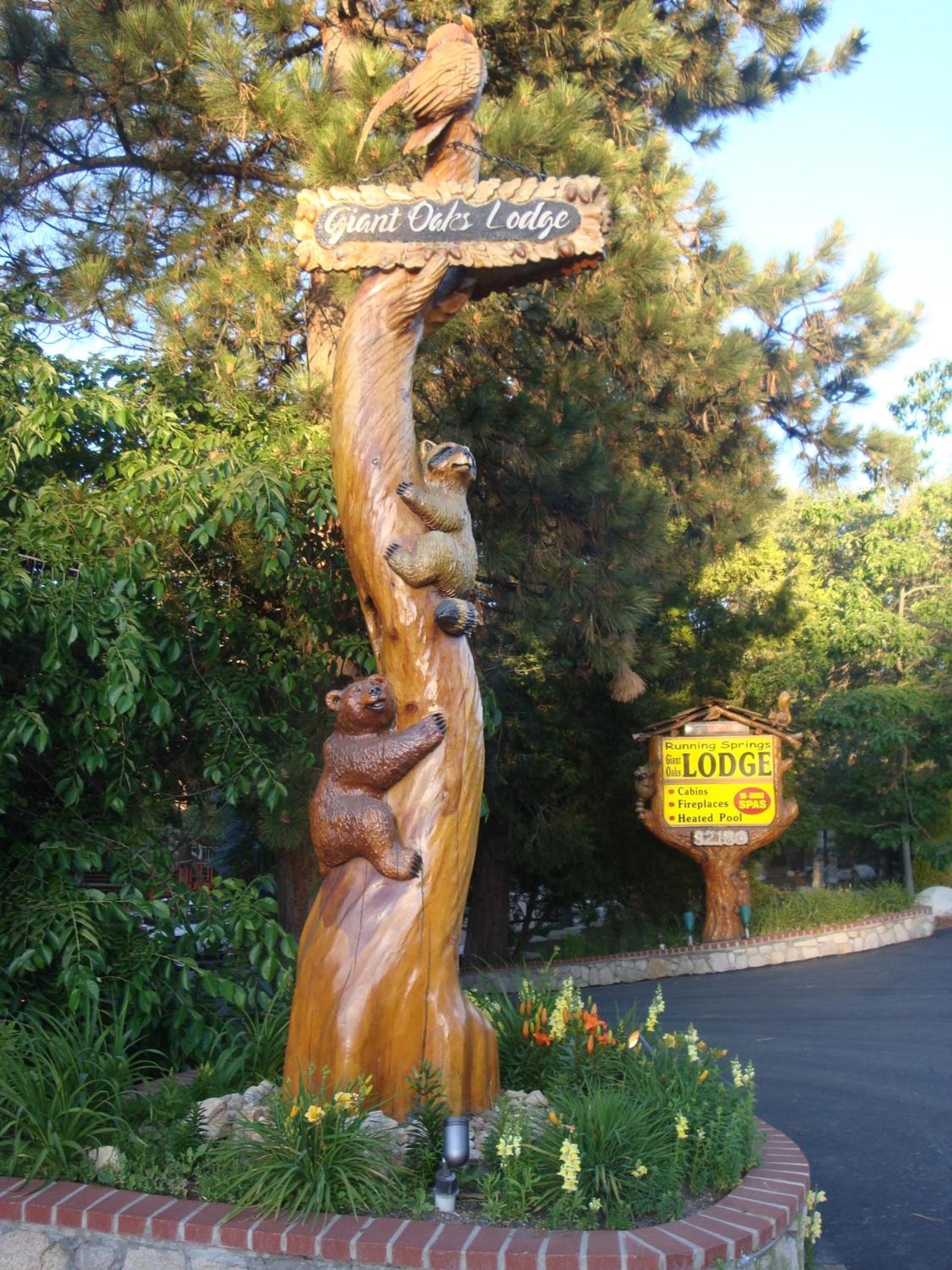 Giant Oaks Lodge photo 52