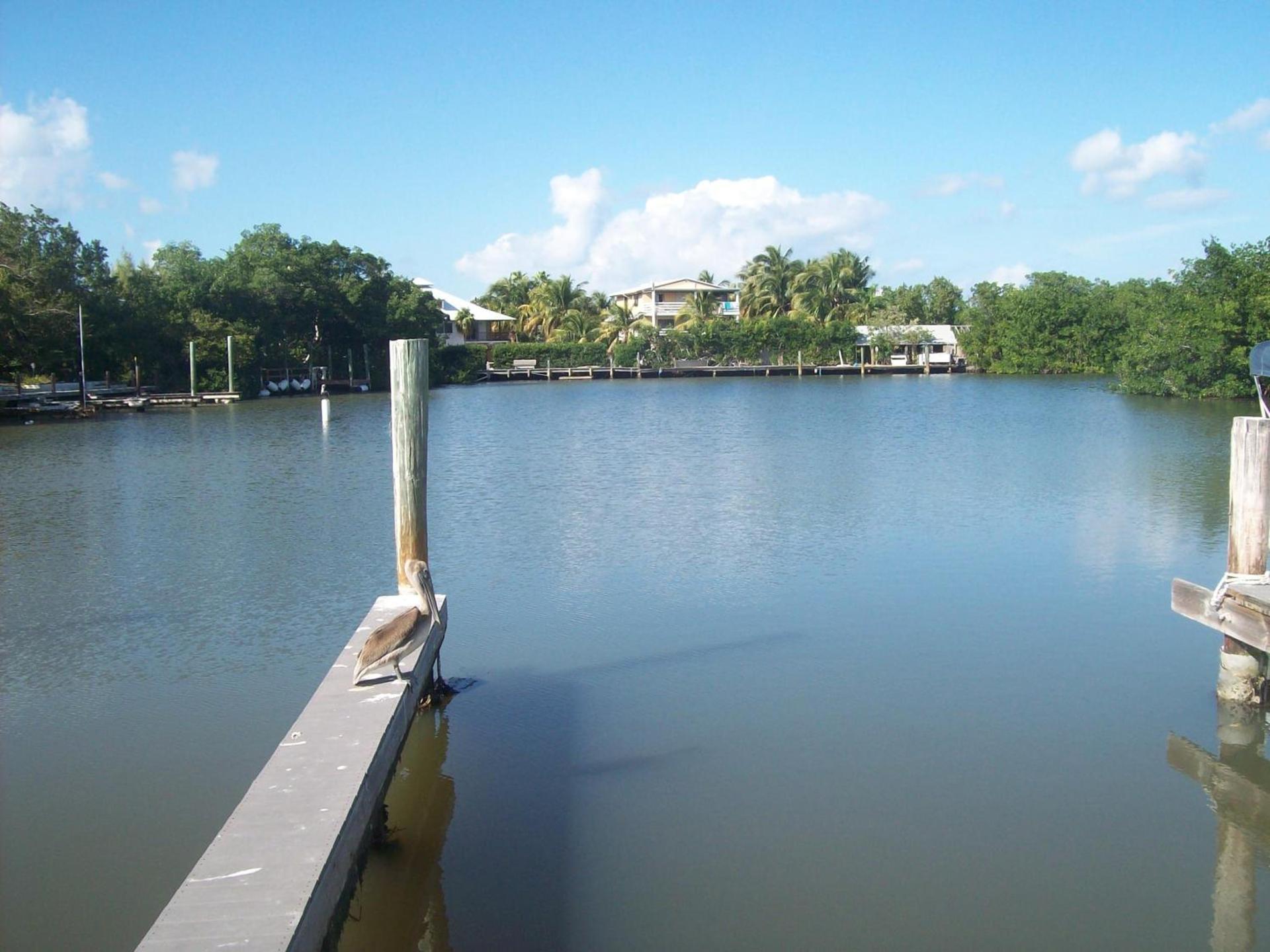 Kingsail Resort photo 13