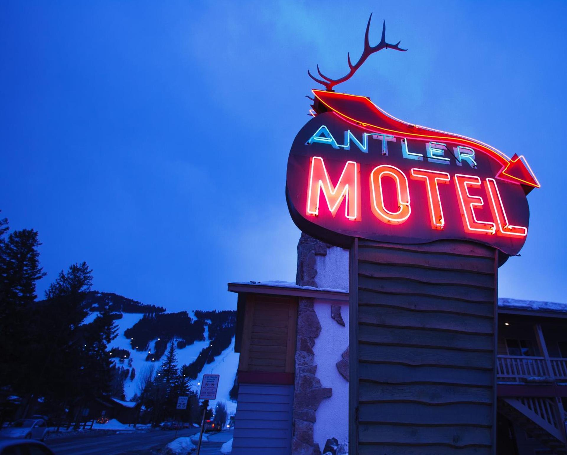 Antler Inn photo 20