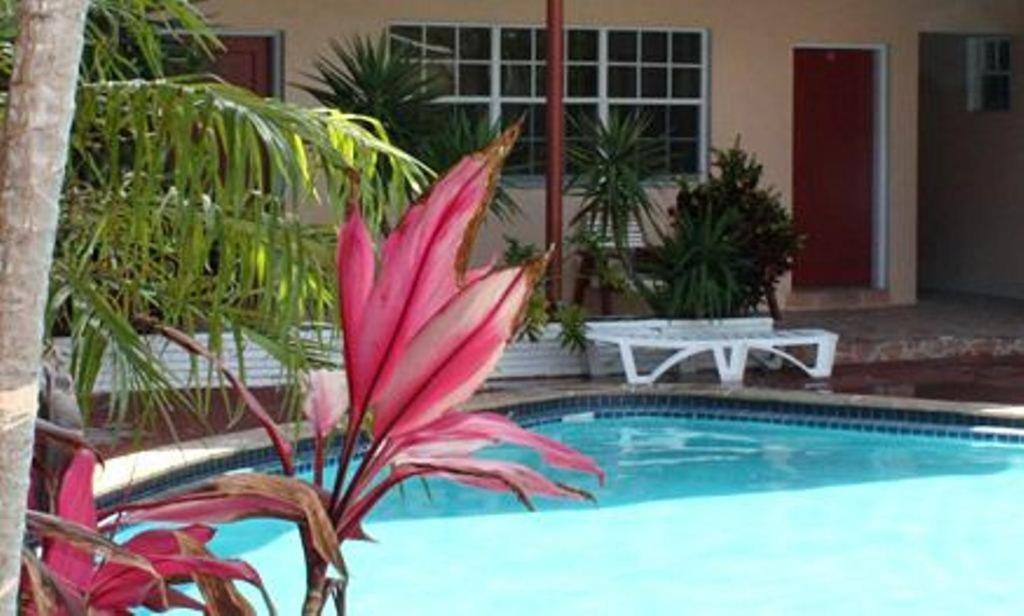 Beach and Town Motel photo 7