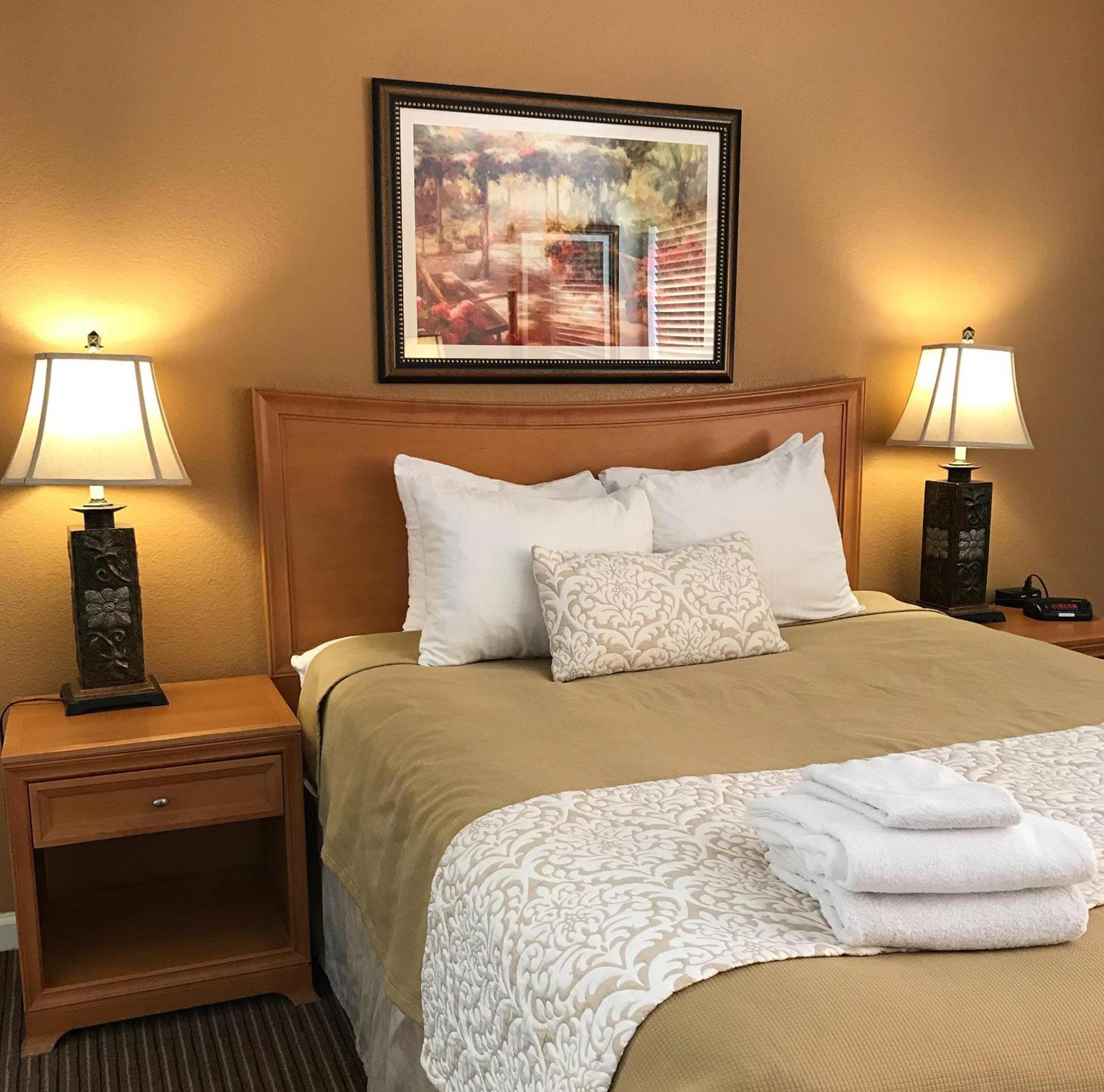 The Oasis Resort photo 19