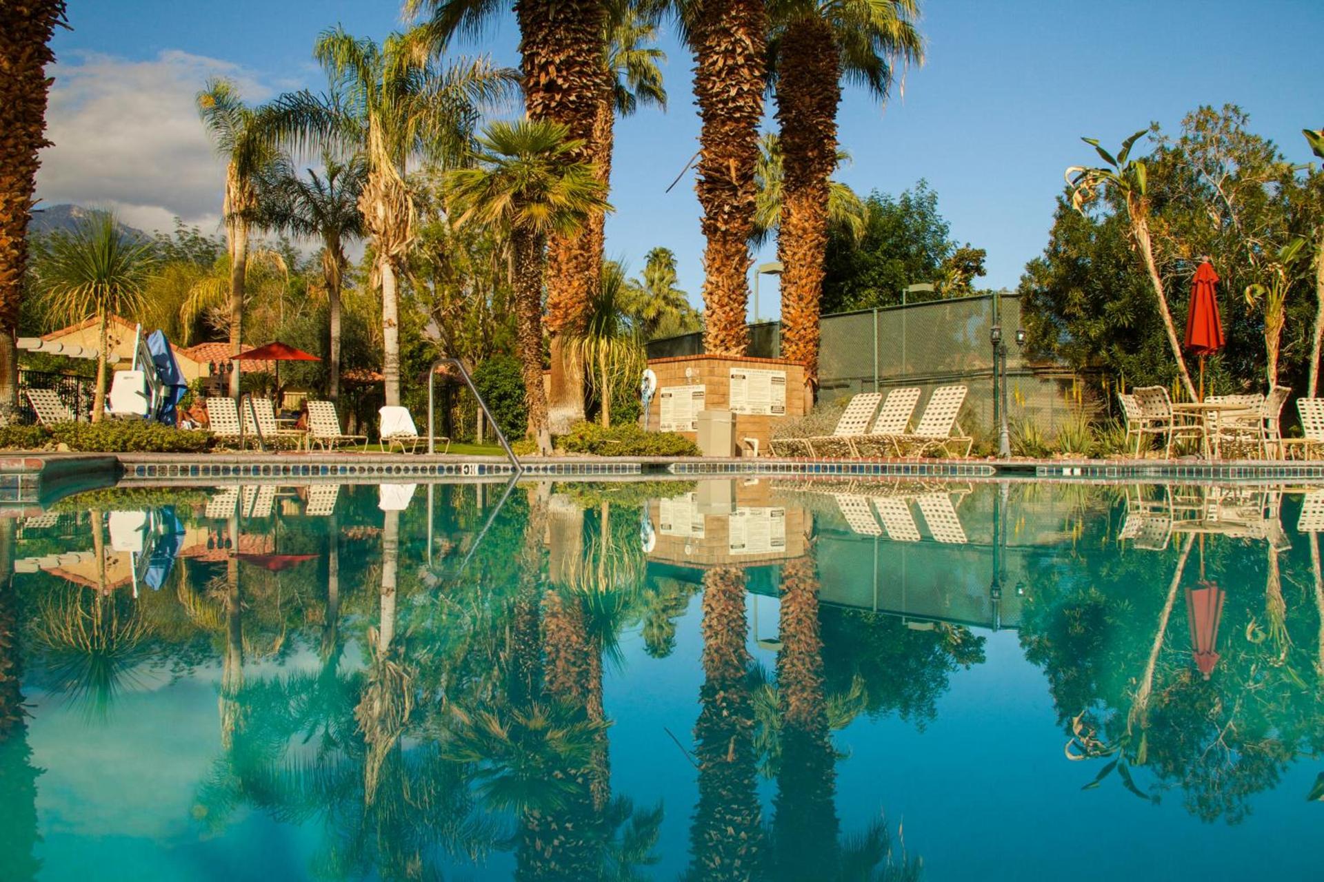 The Oasis Resort photo 4