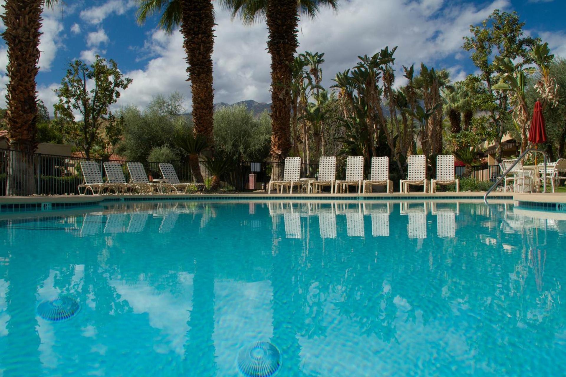 The Oasis Resort photo 50