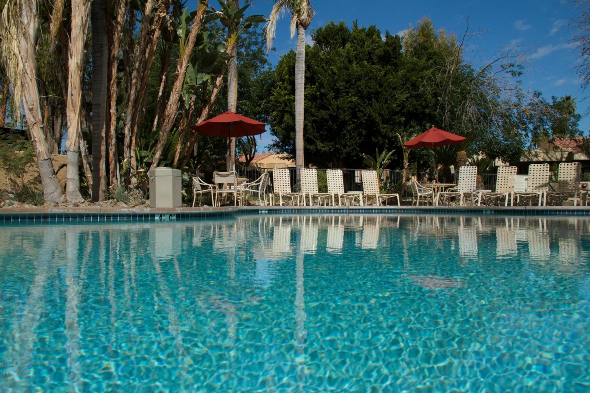 The Oasis Resort photo 5