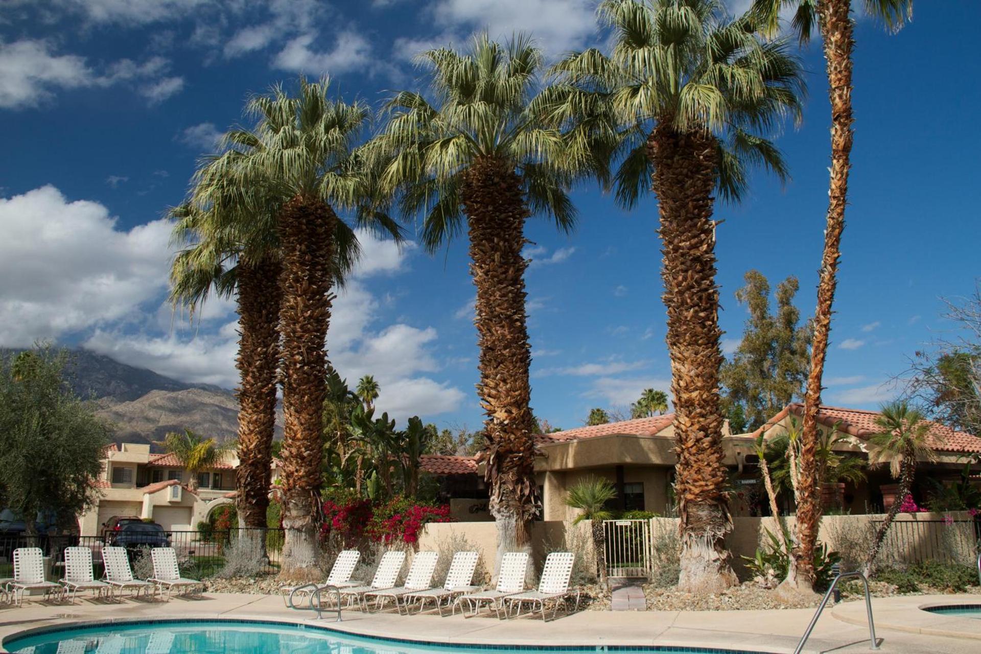 The Oasis Resort photo 3