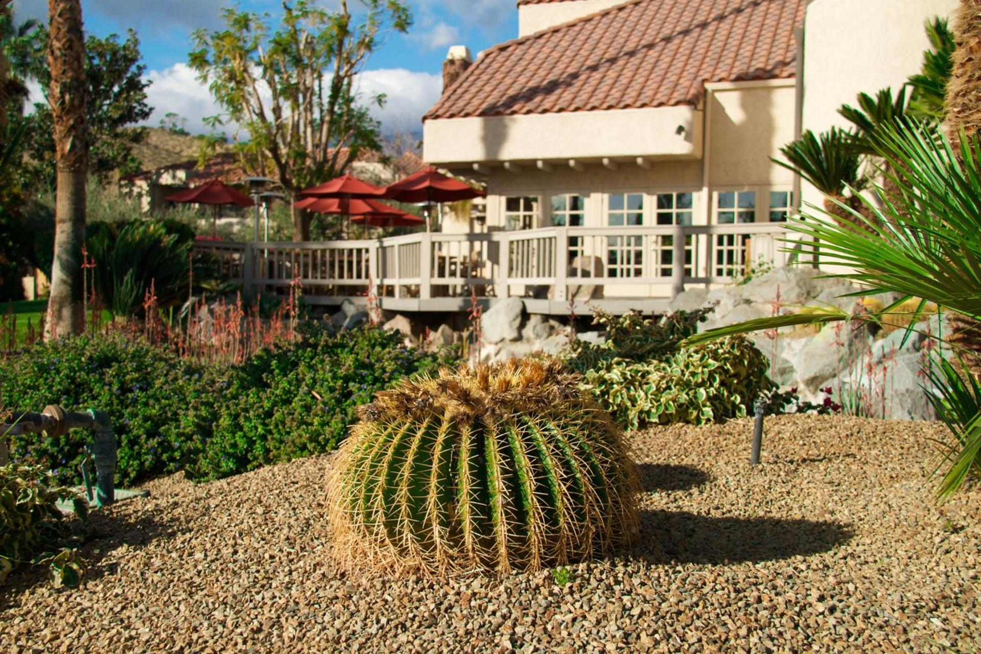 The Oasis Resort photo 9