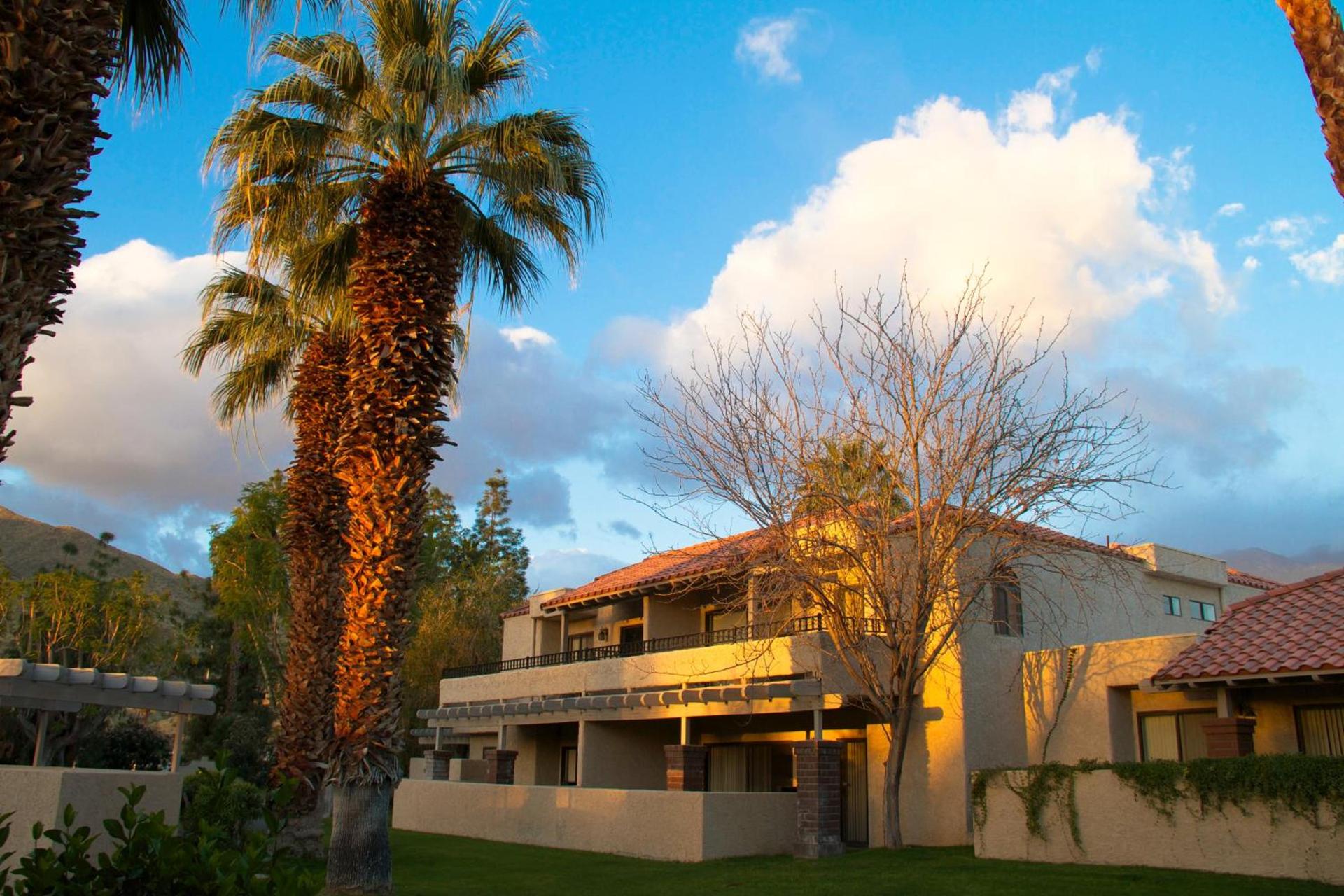 The Oasis Resort photo 10