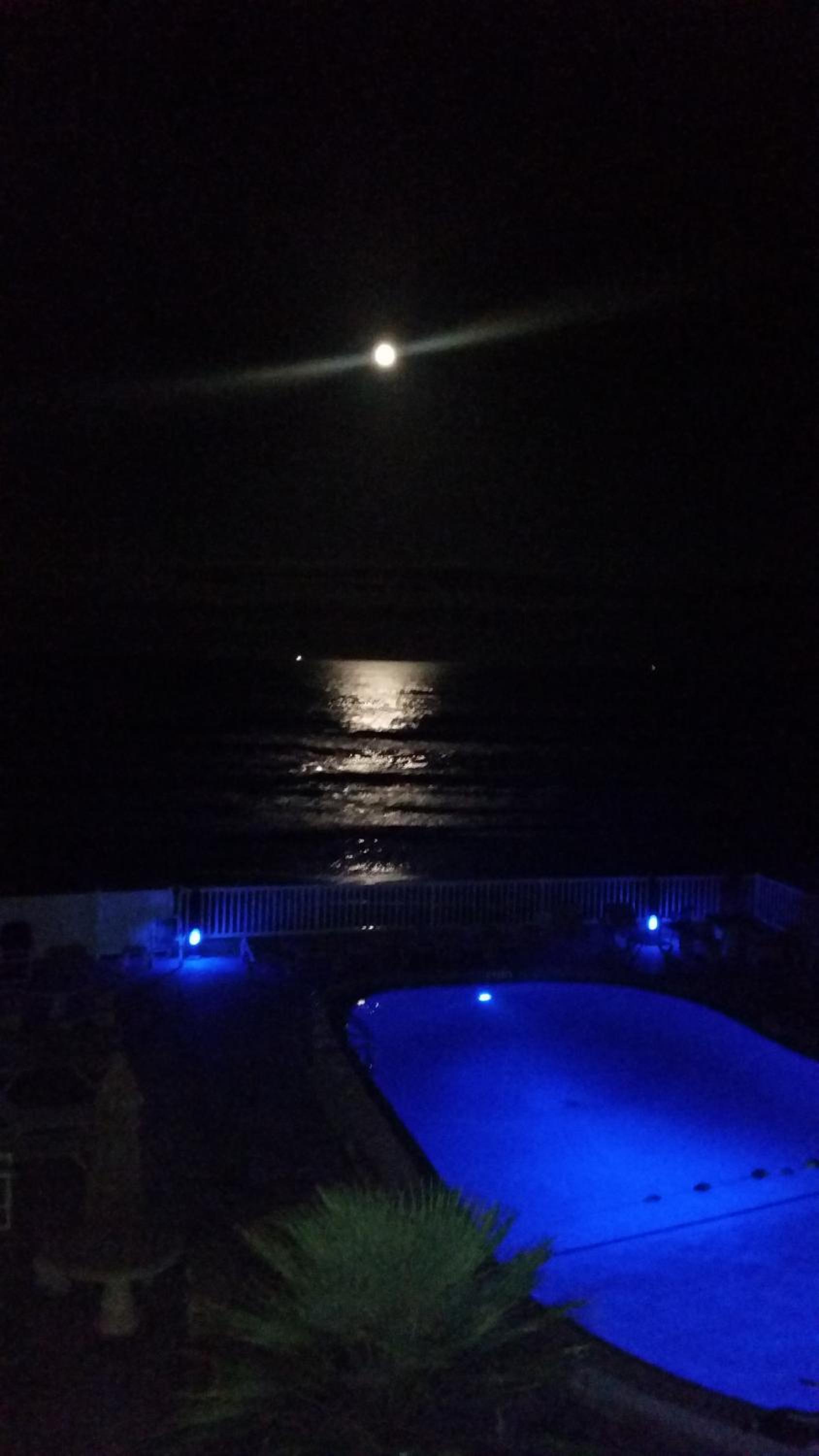 Driftwood Beach Motel photo 9