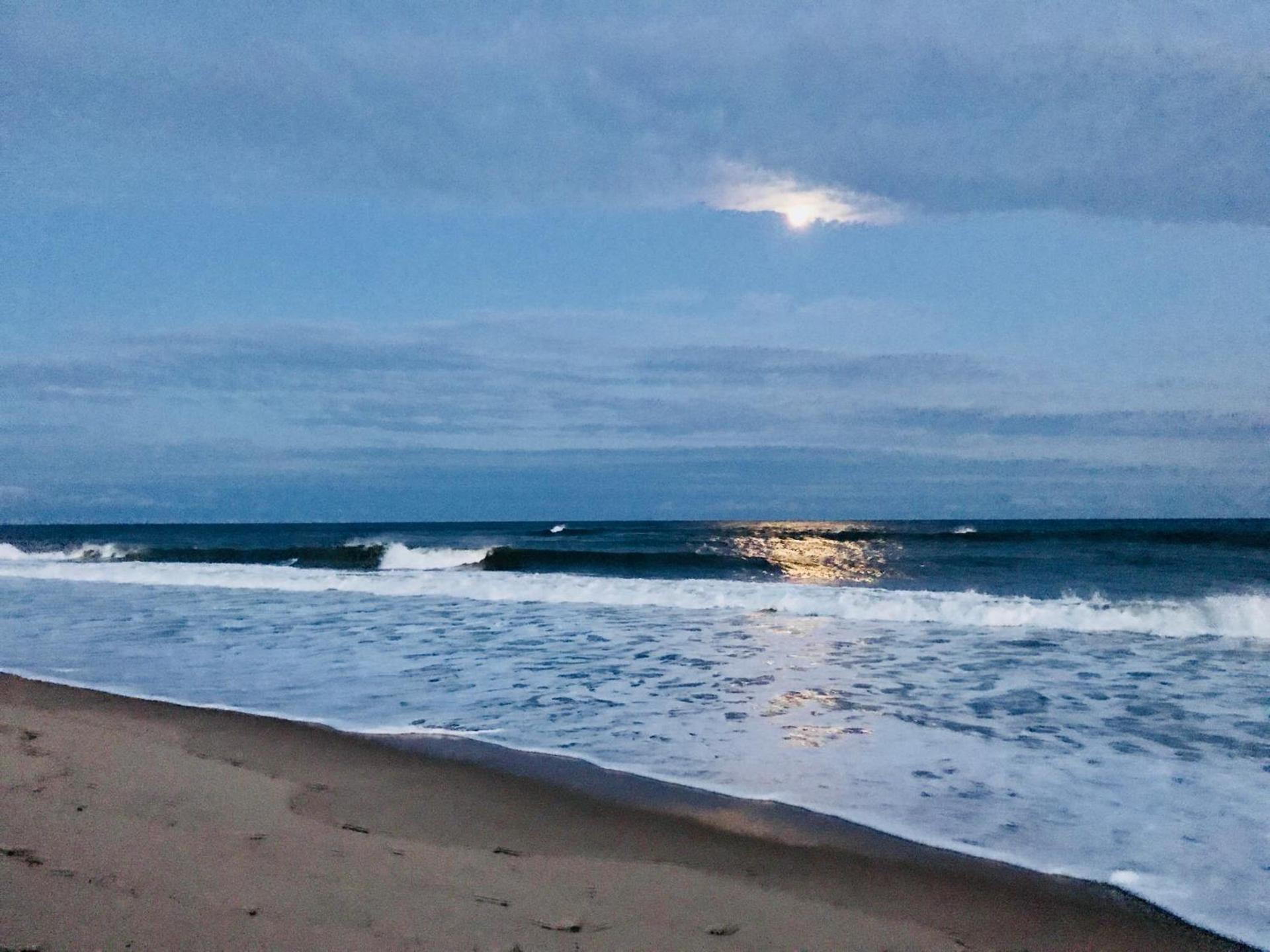 Ocean Surf Resort photo 64