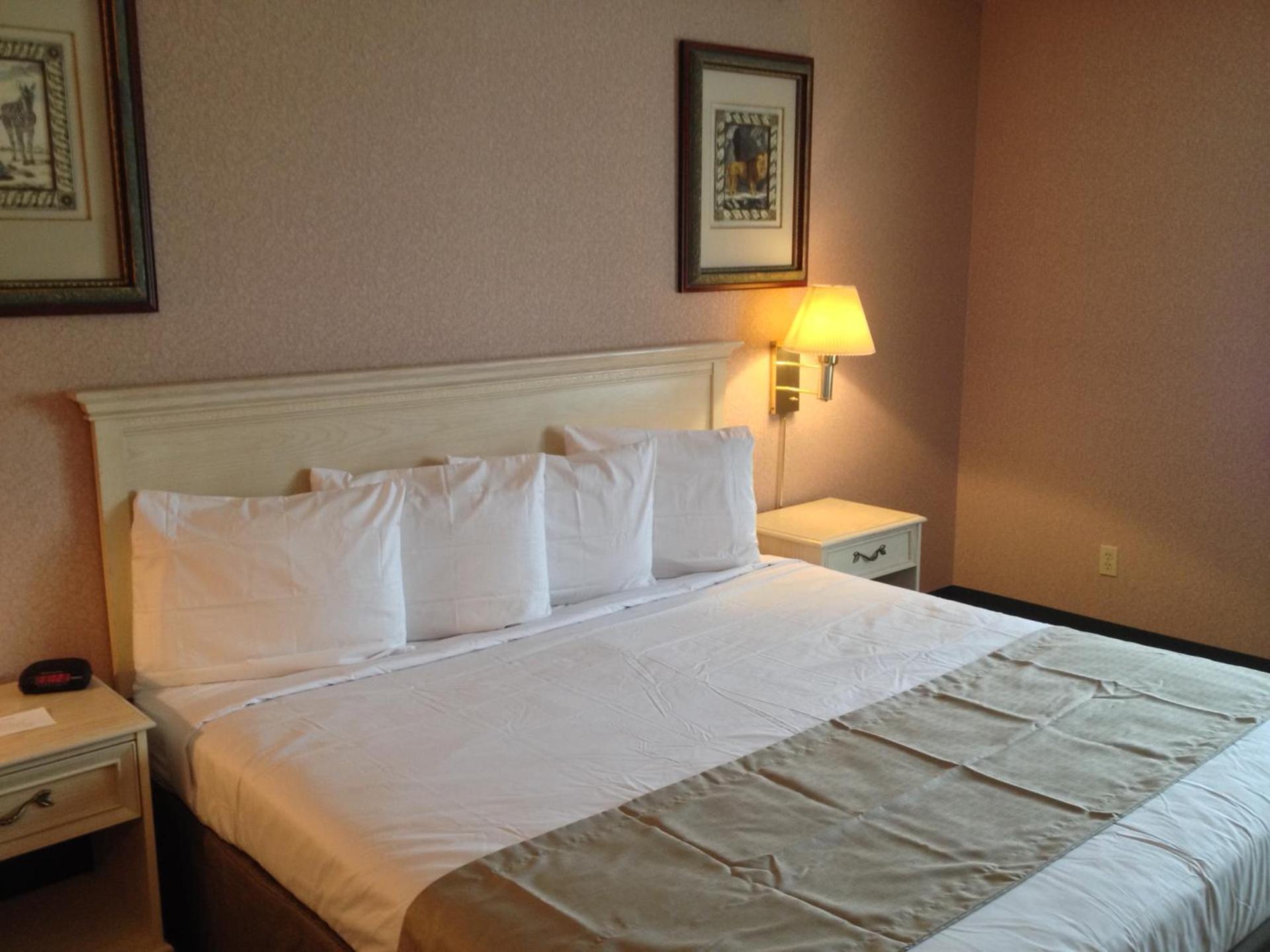 Parkside Inn Bridgeview photo 10