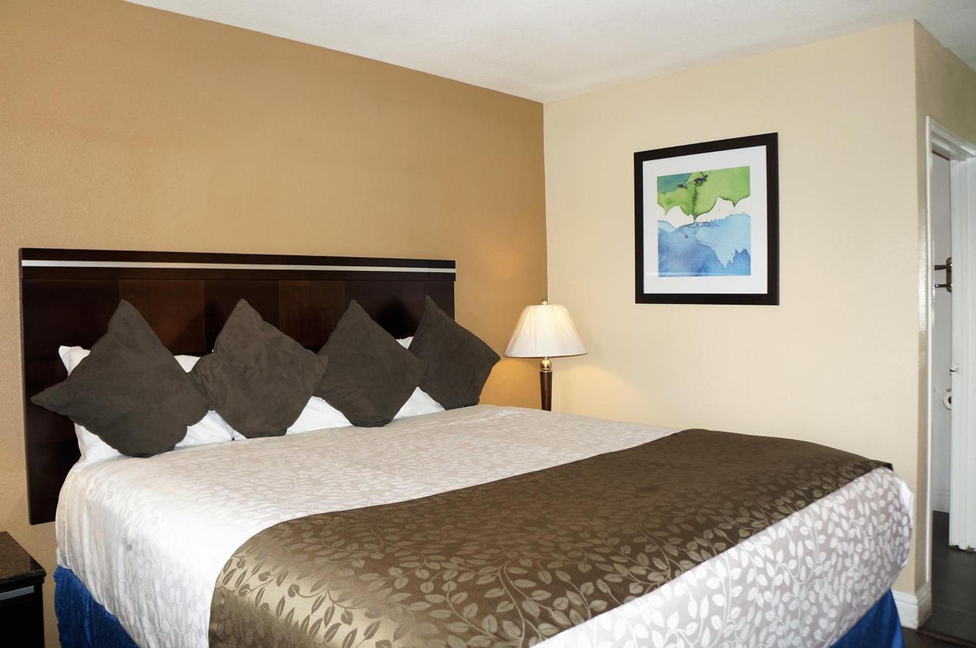 Executive Inn photo 18