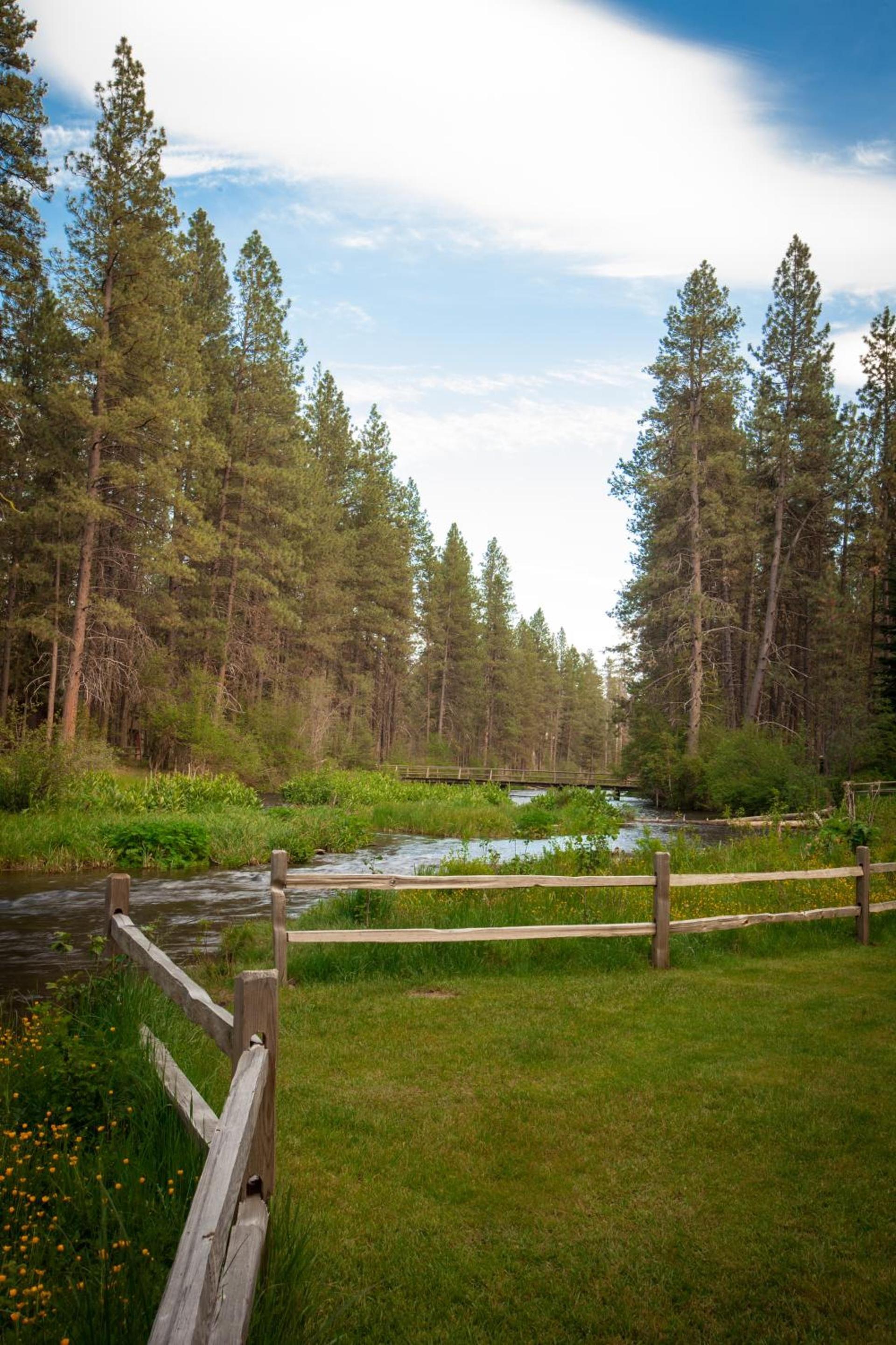 Cold Springs Resort photo 37