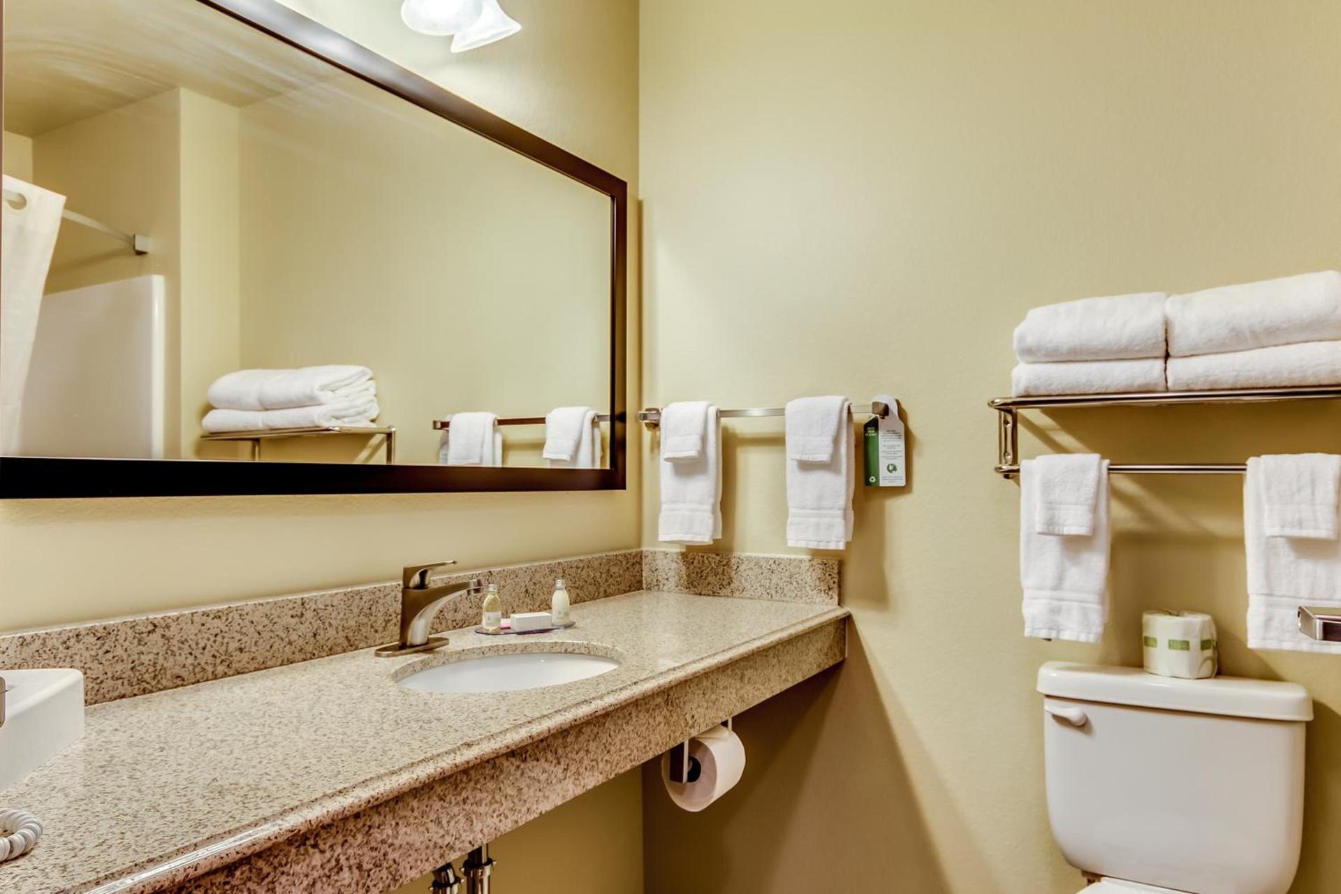 Cobblestone Inn & Suites - Waverly photo 23