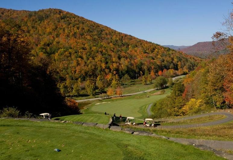 Allegheny Springs photo 11