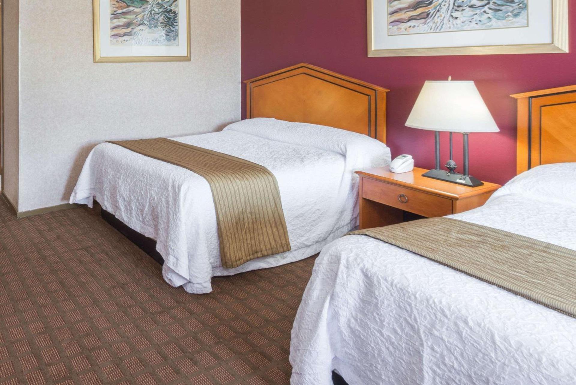 Elite Inn photo 13