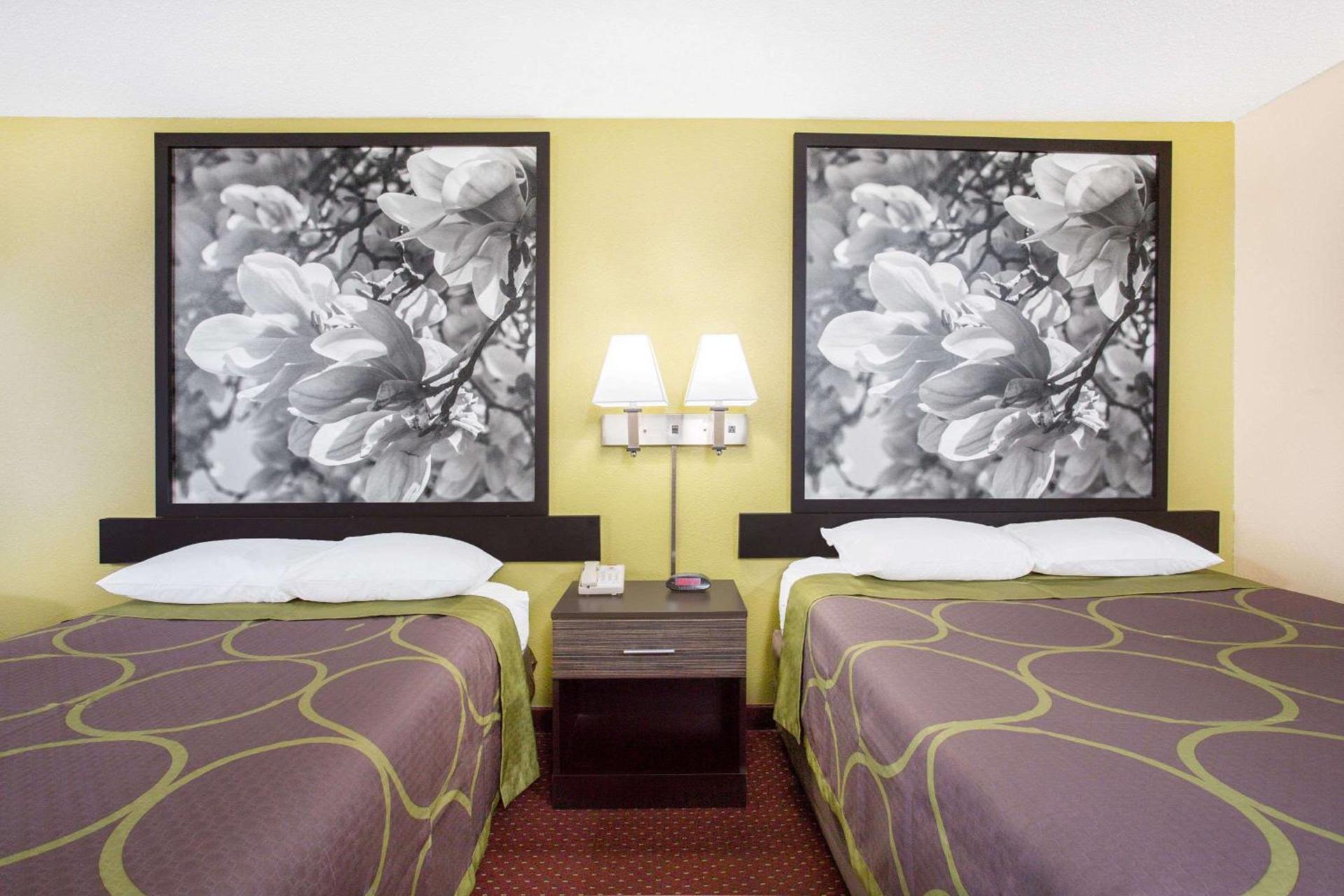 Super 8 by Wyndham Sumter photo 8