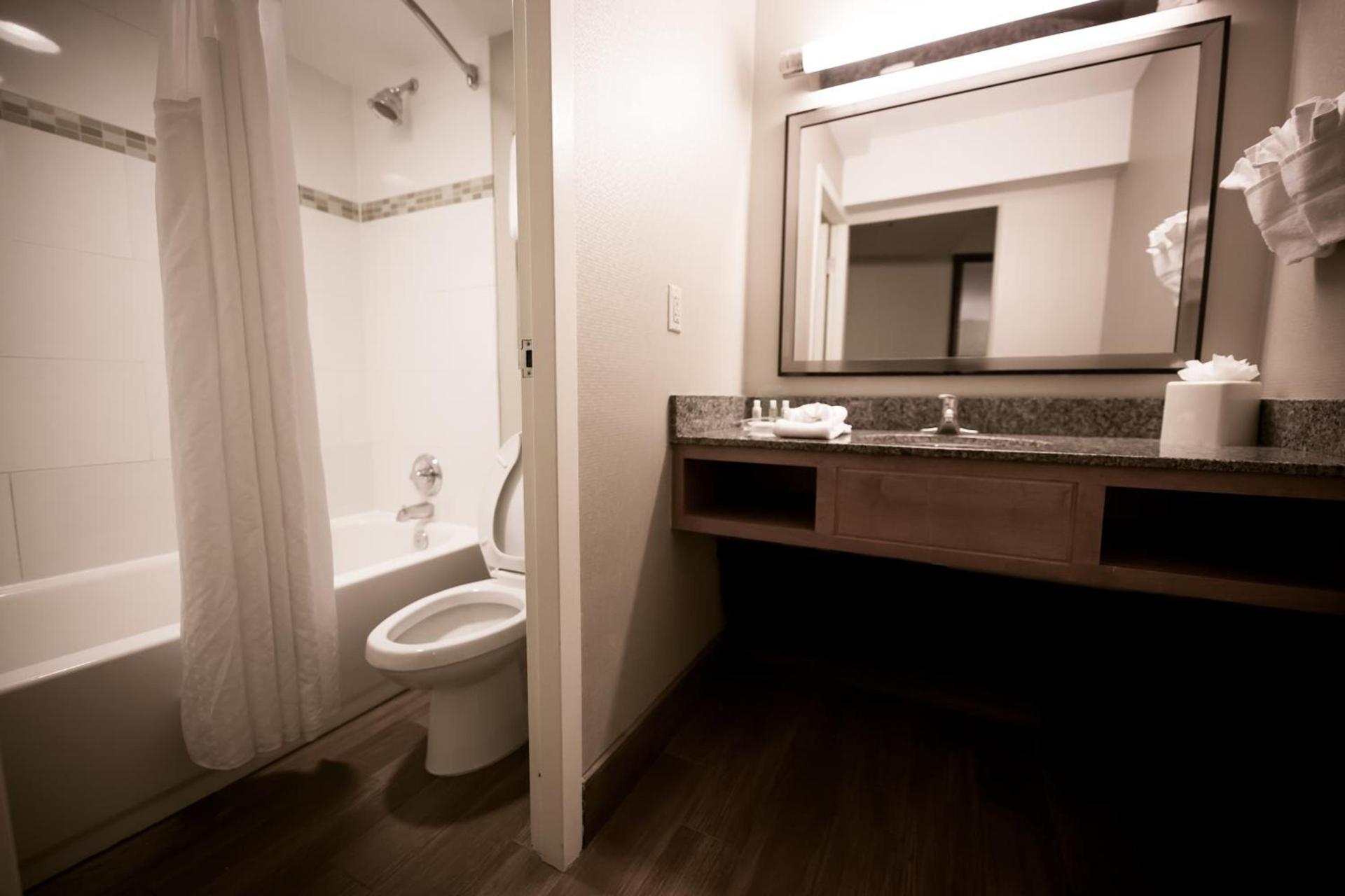 Holiday Inn Raleigh Downtown, an IHG Hotel photo 5