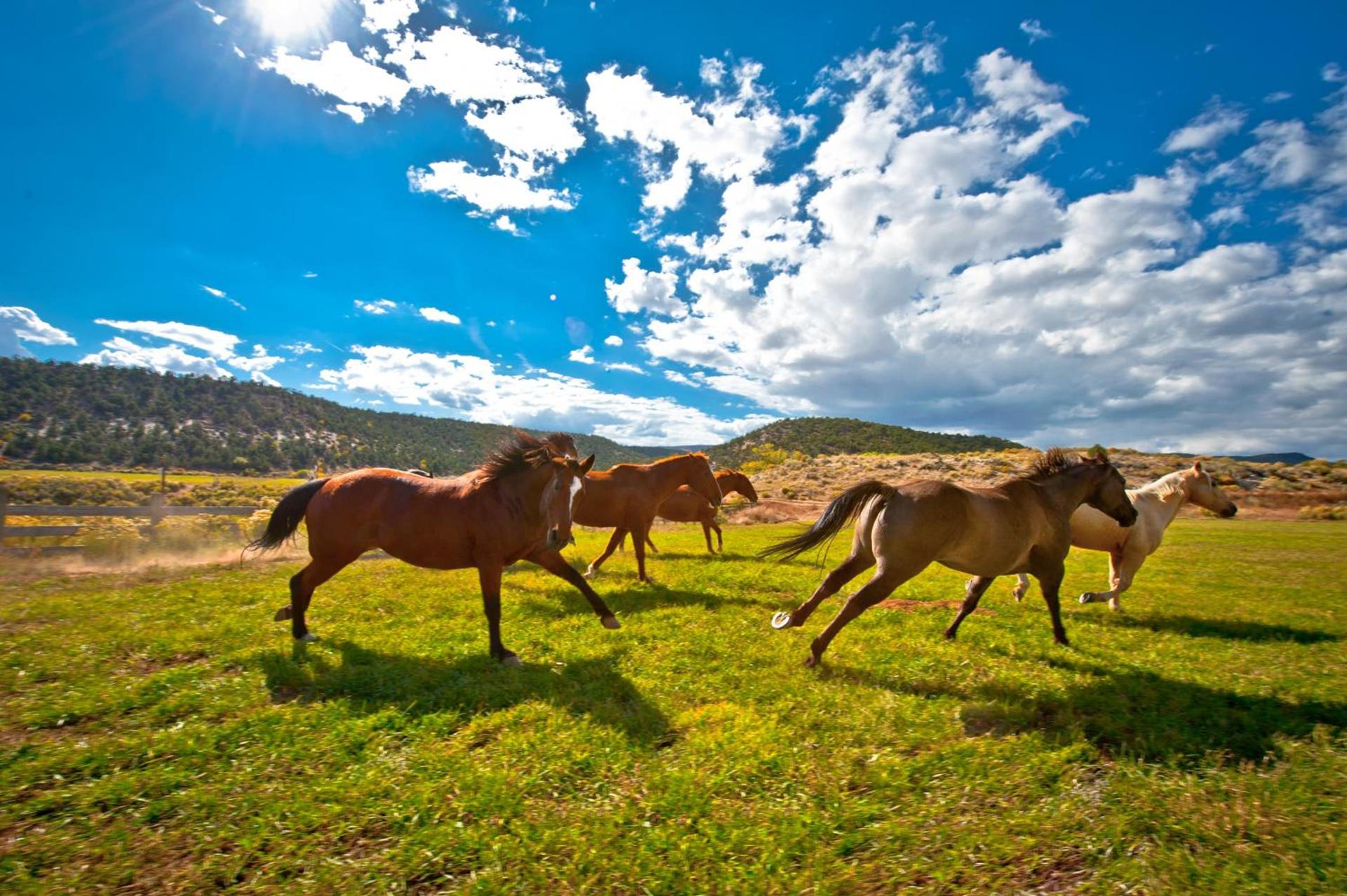 Boulder Mountain Guest Ranch photo 48