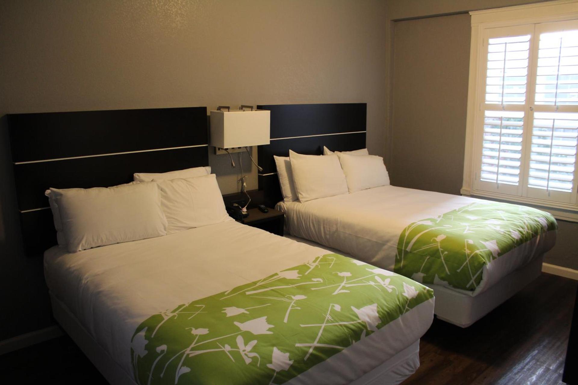 Layne Hotel photo 19
