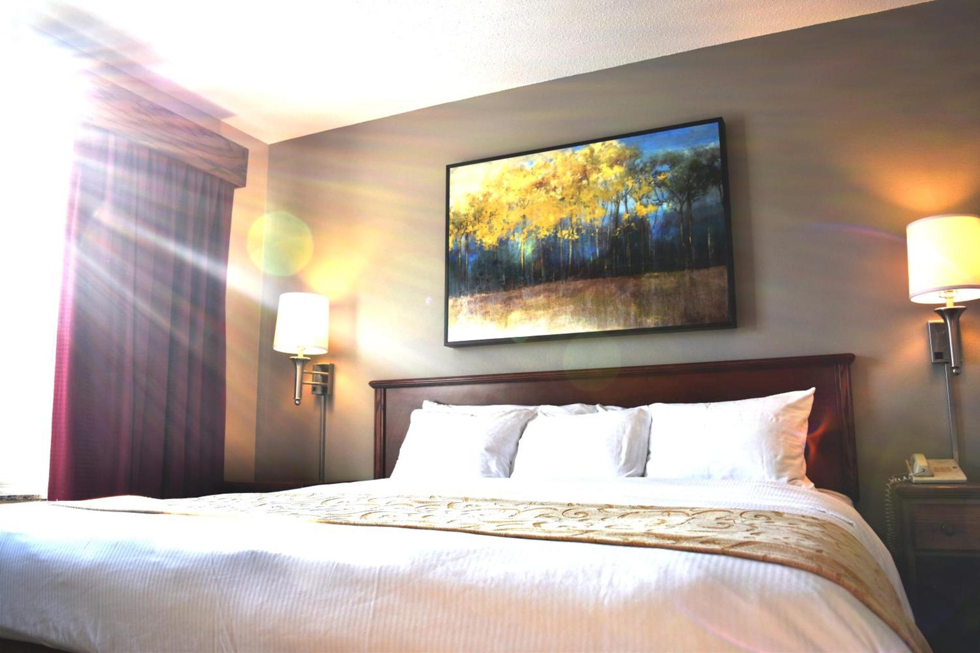 The Commerce, Trademark Collection by Wyndham photo 16