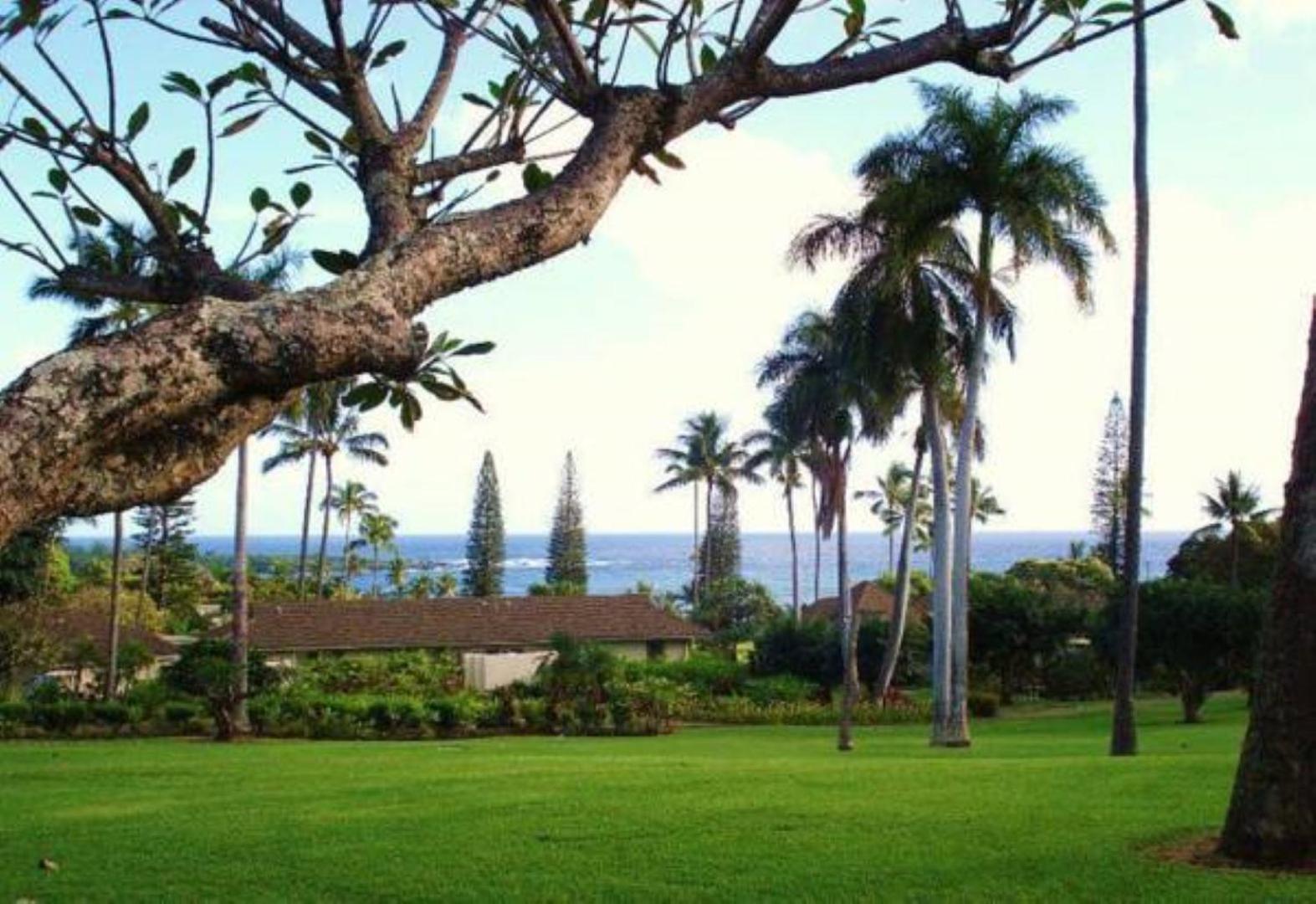 Hana-Maui Resort, a Destination by Hyatt Residence photo 62
