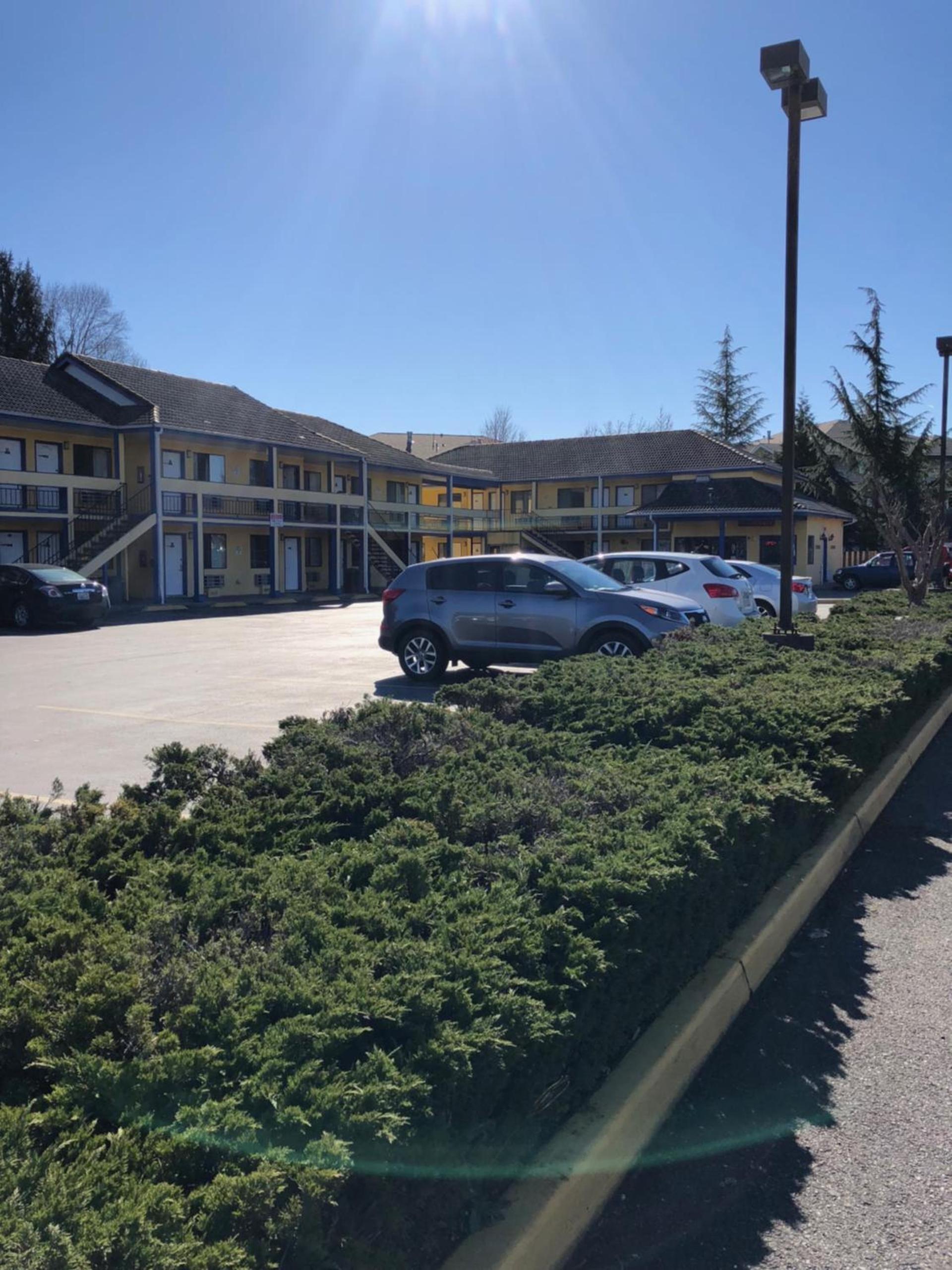 Sumner Motor Inn photo 1