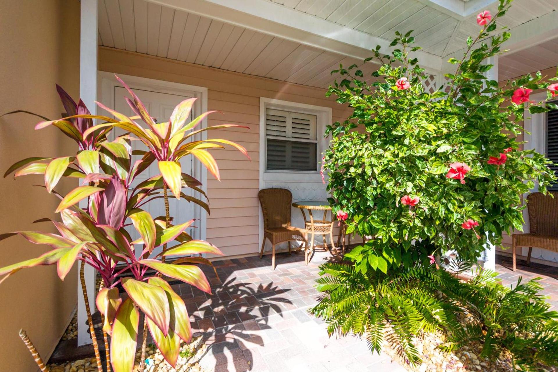 Tropical Beach Resorts - Sarasota photo 5