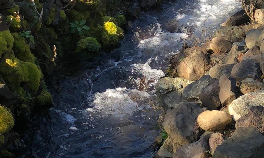 The Waterfront at Potlatch photo 14