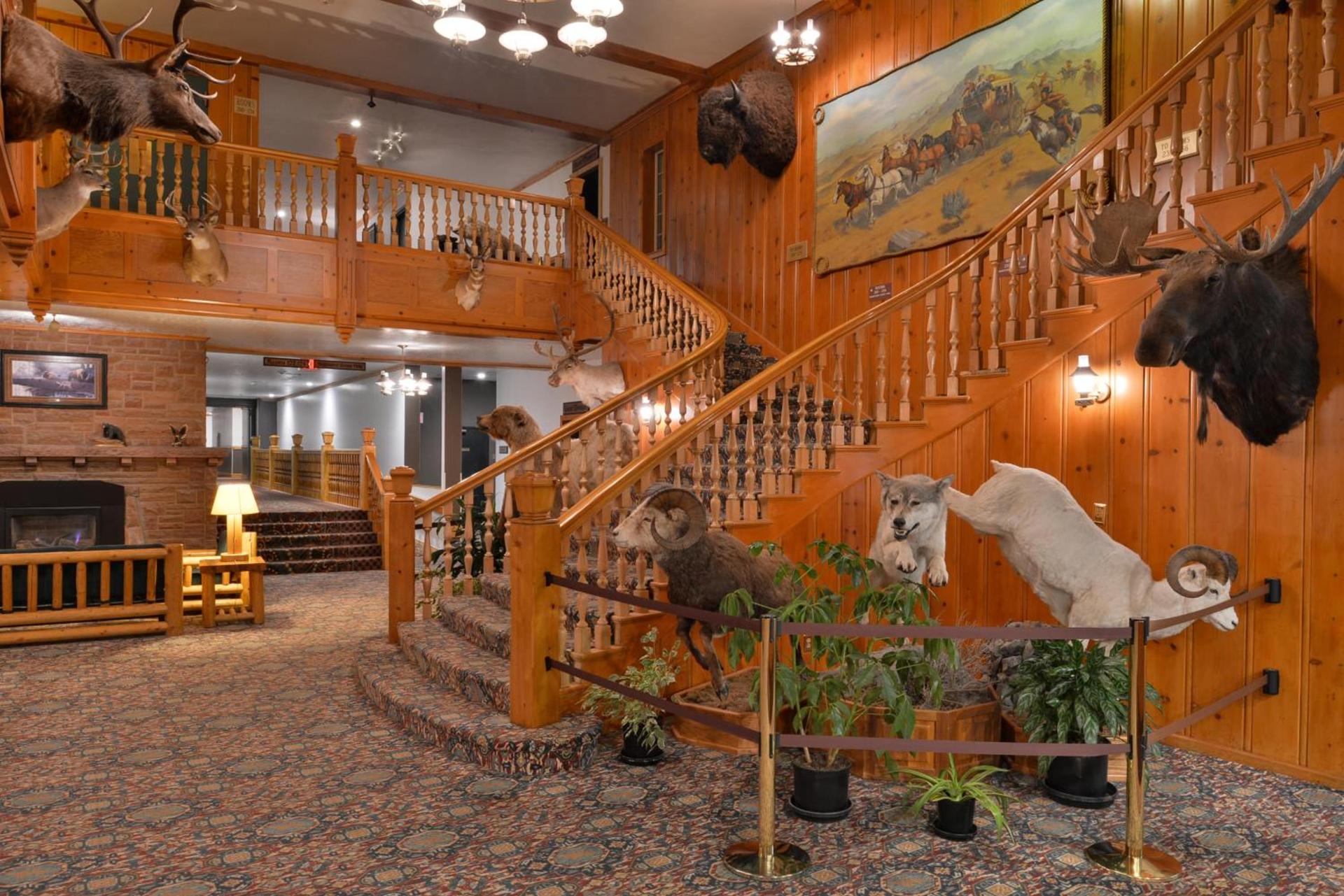 Stage Coach Inn photo 22