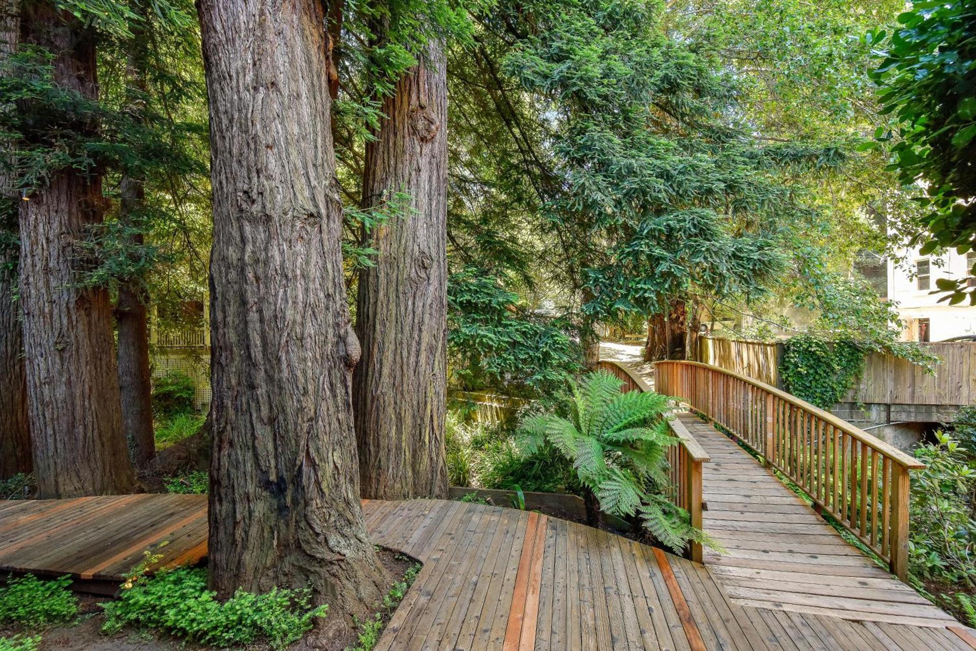 Mill Valley Inn photo 27
