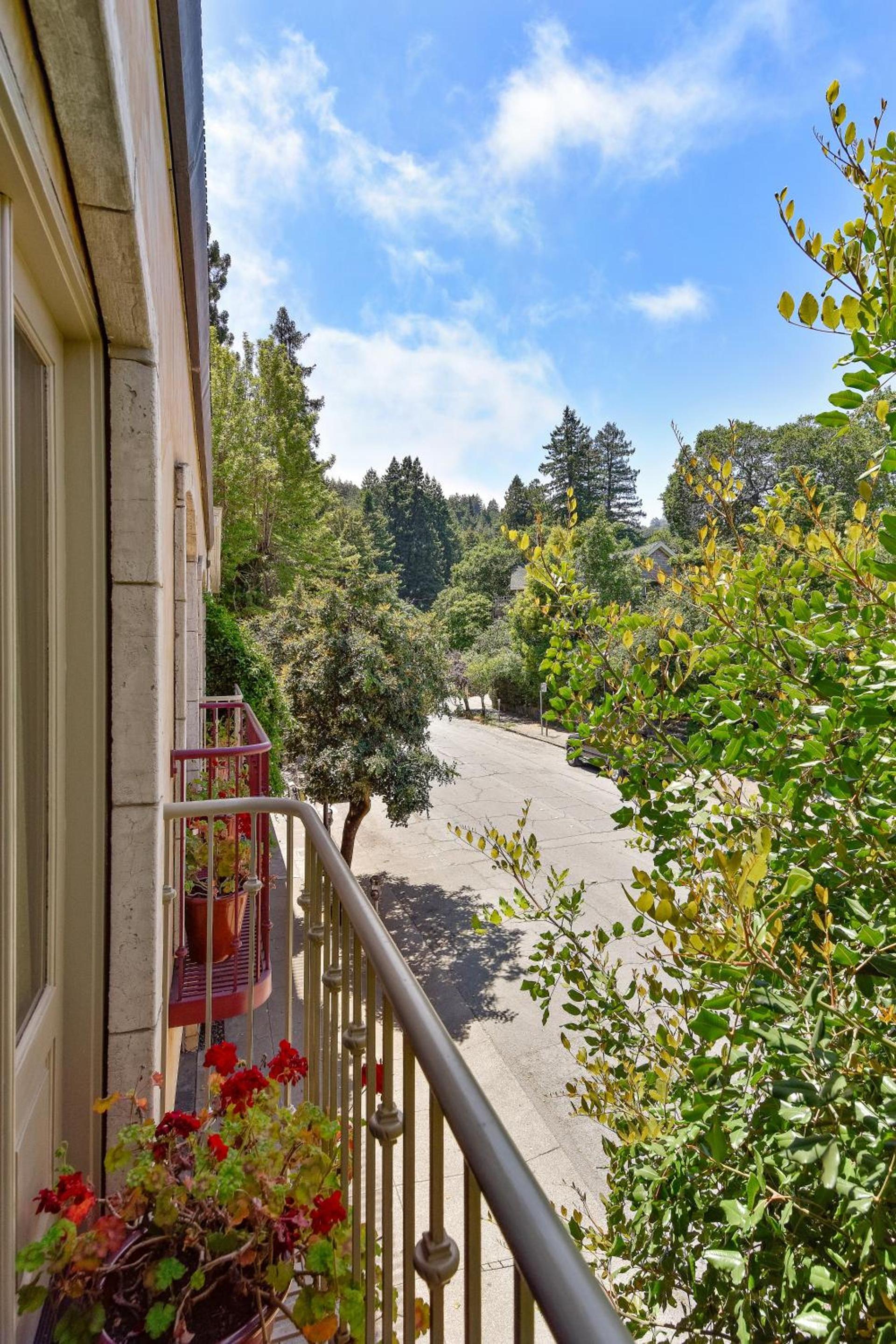 Mill Valley Inn photo 18
