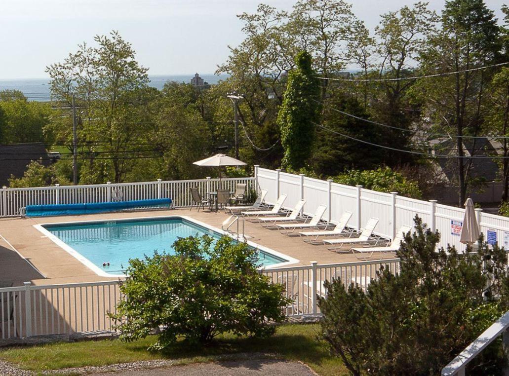Sea Lion Motel photo 3
