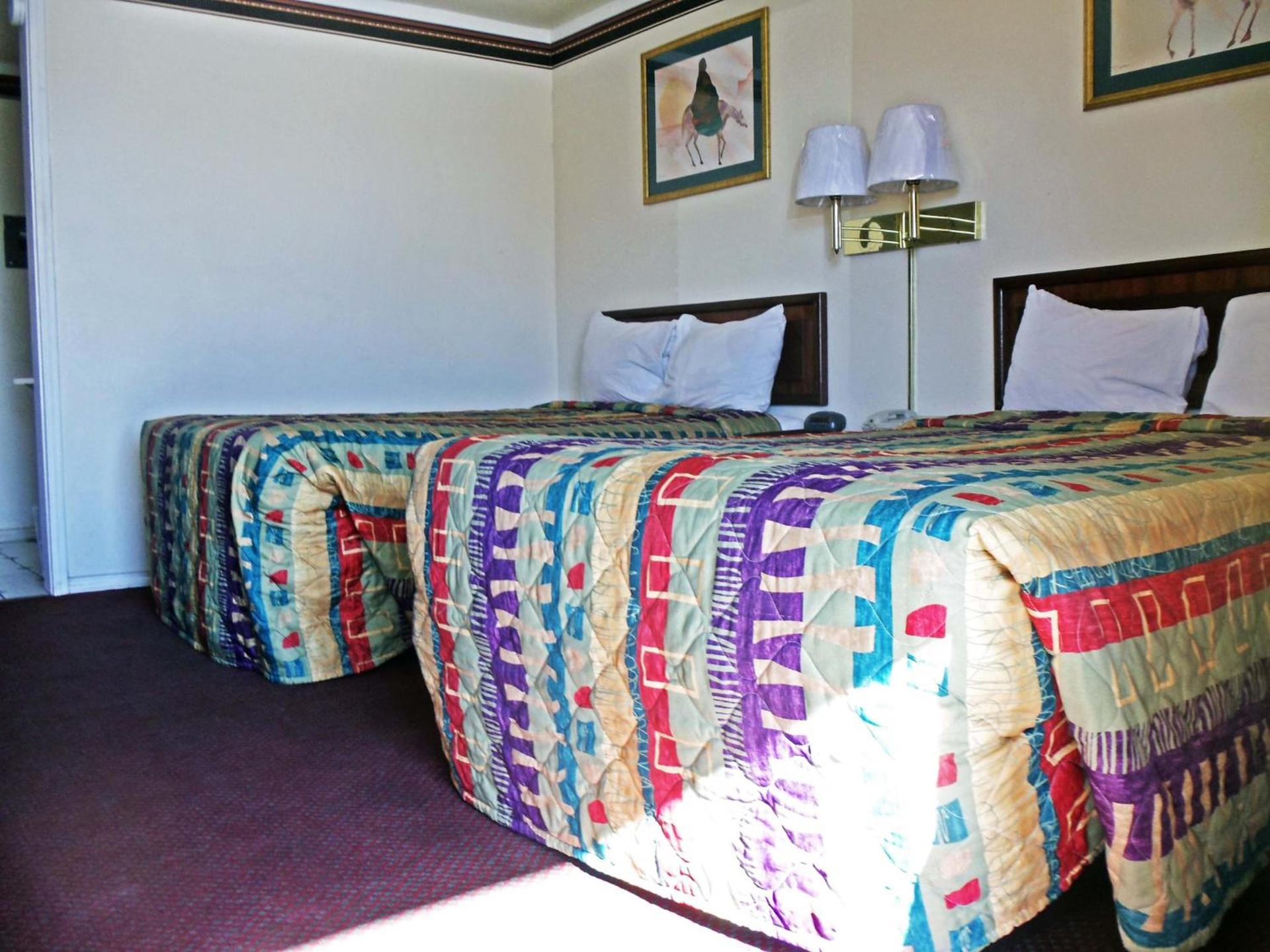 Antlers Budget Inn photo 3