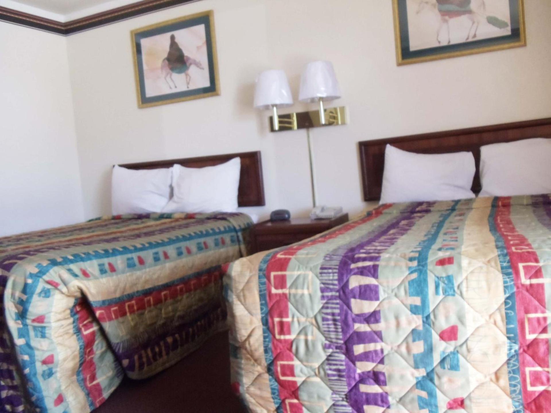 Antlers Budget Inn photo 4