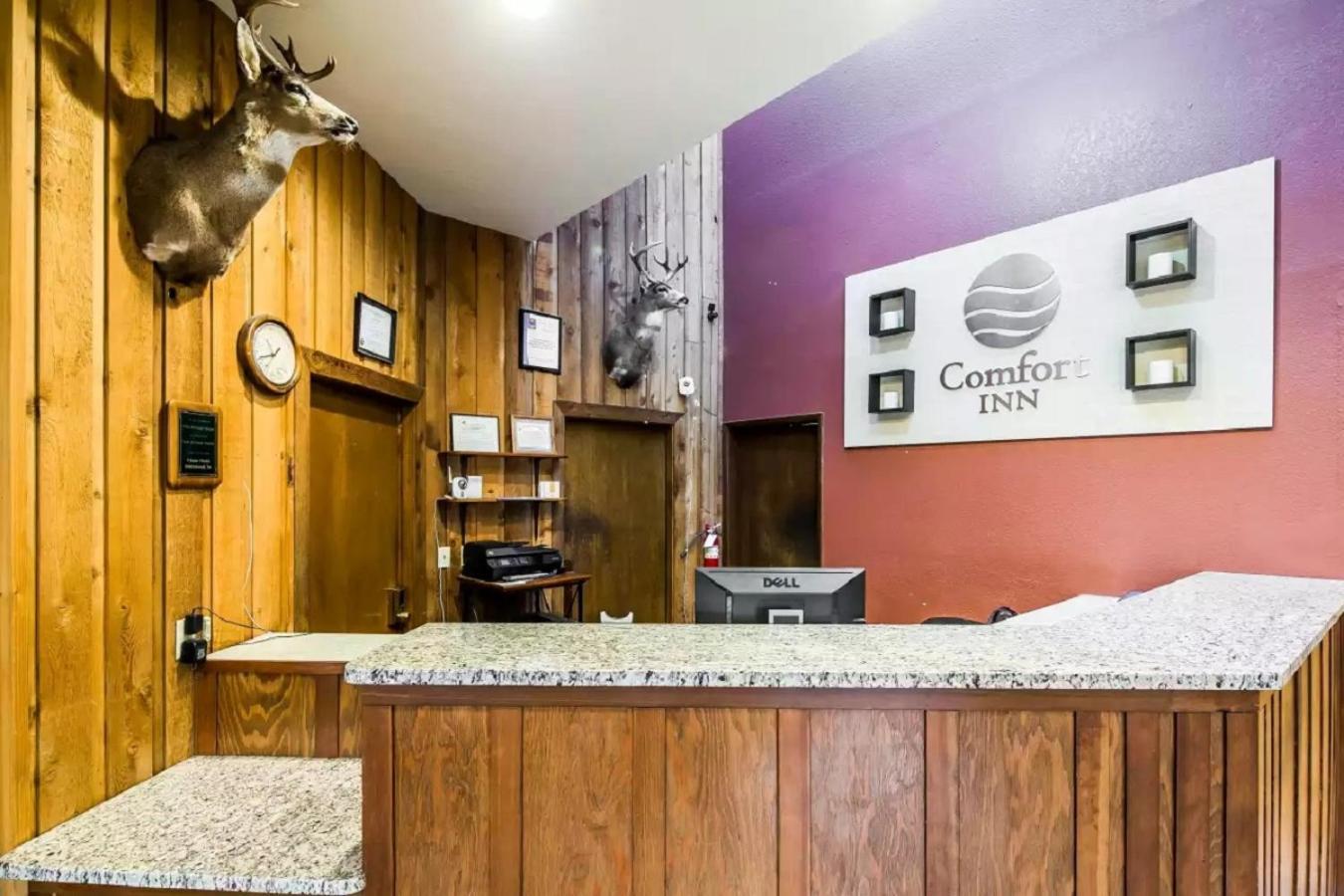 Quality Inn Kodiak photo 2