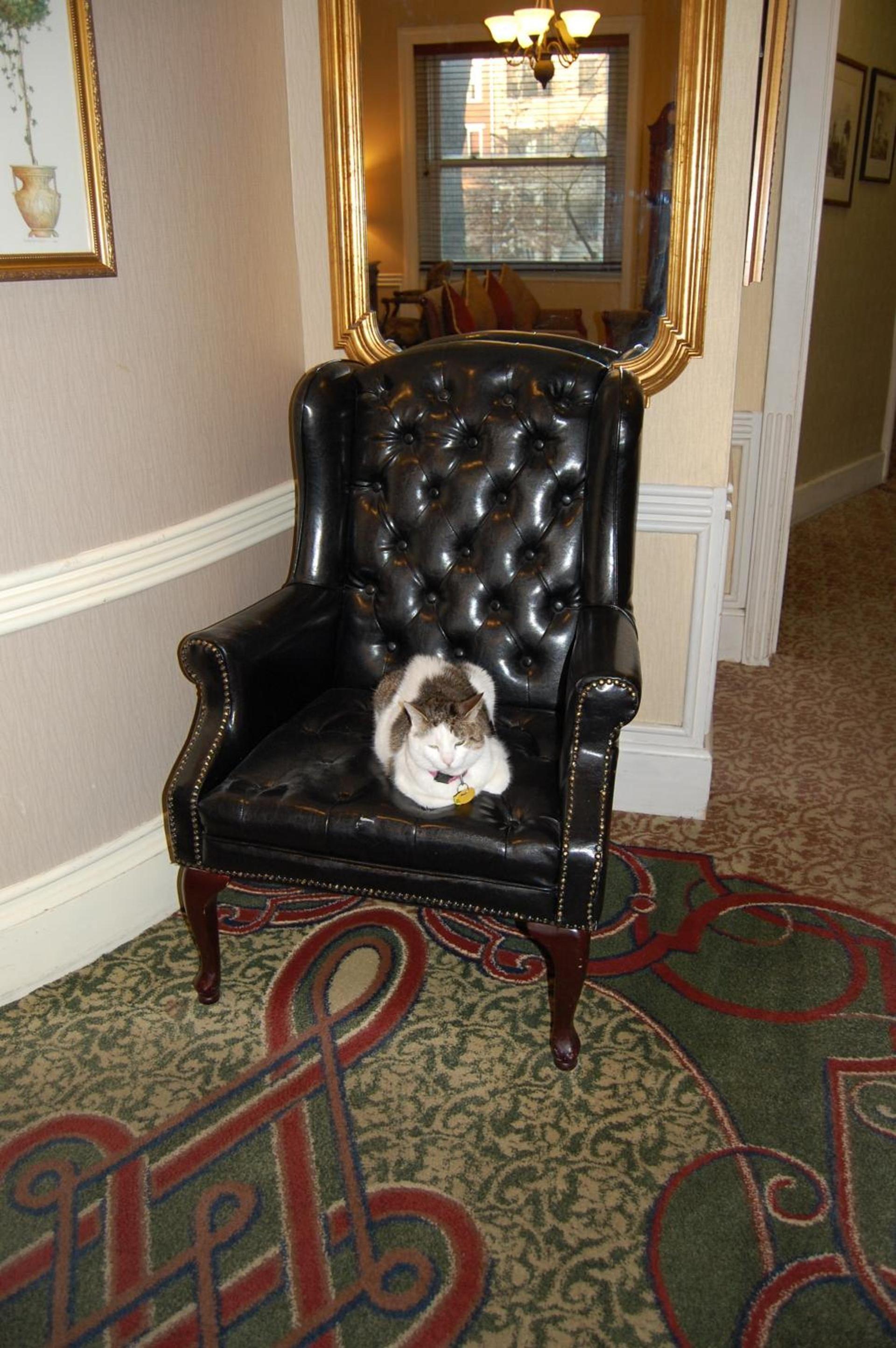 Windsor Inn Hotel photo 55