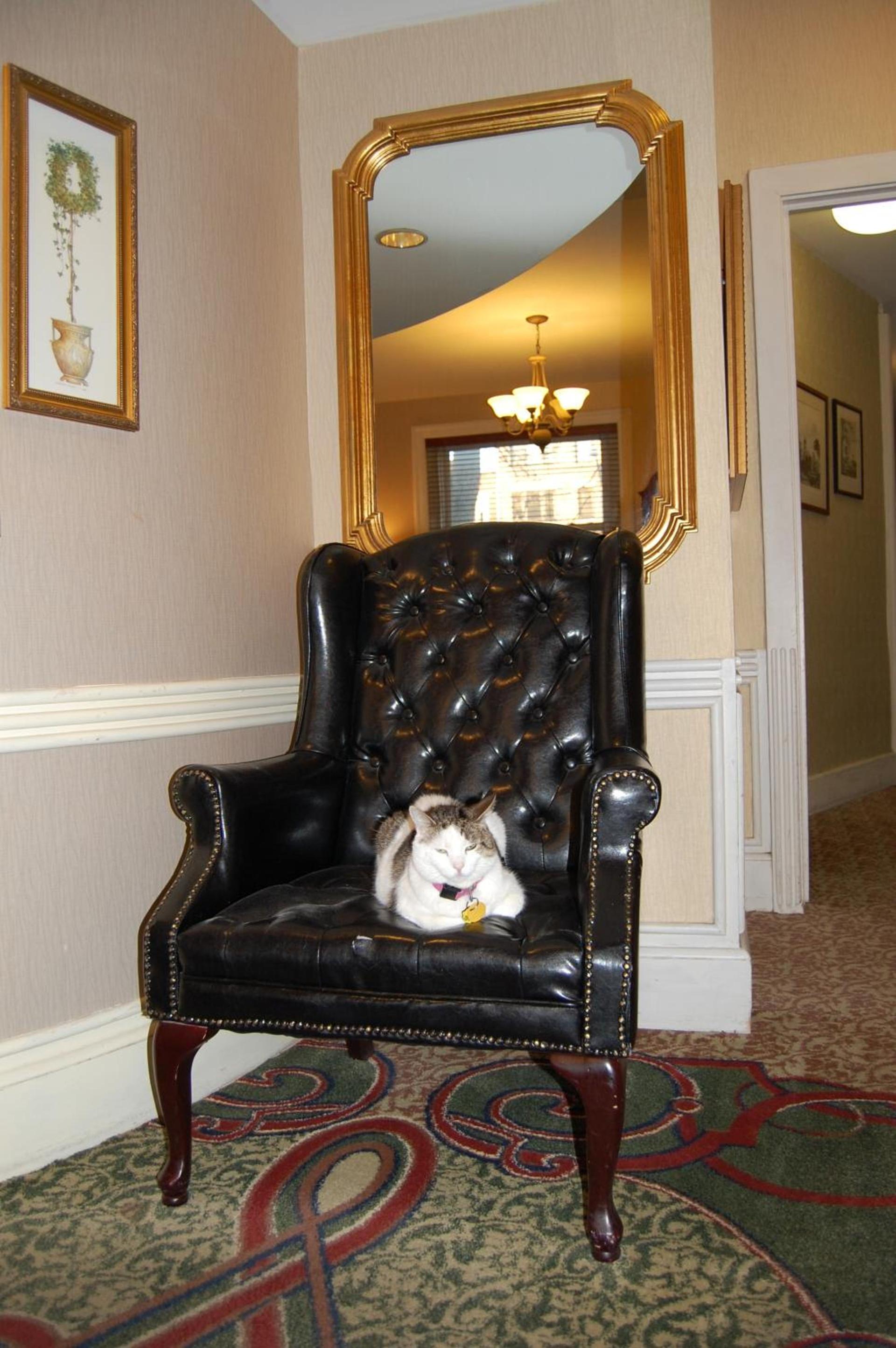 Windsor Inn Hotel photo 54