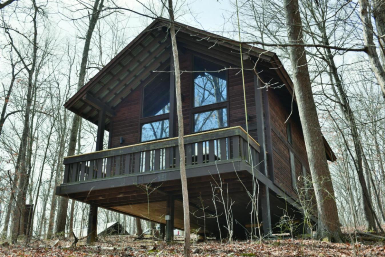 Abe Martin Lodge & Cabins photo 5