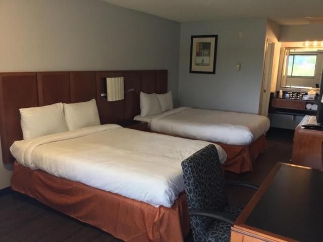 Extend-a-Suites Phoenix photo 7