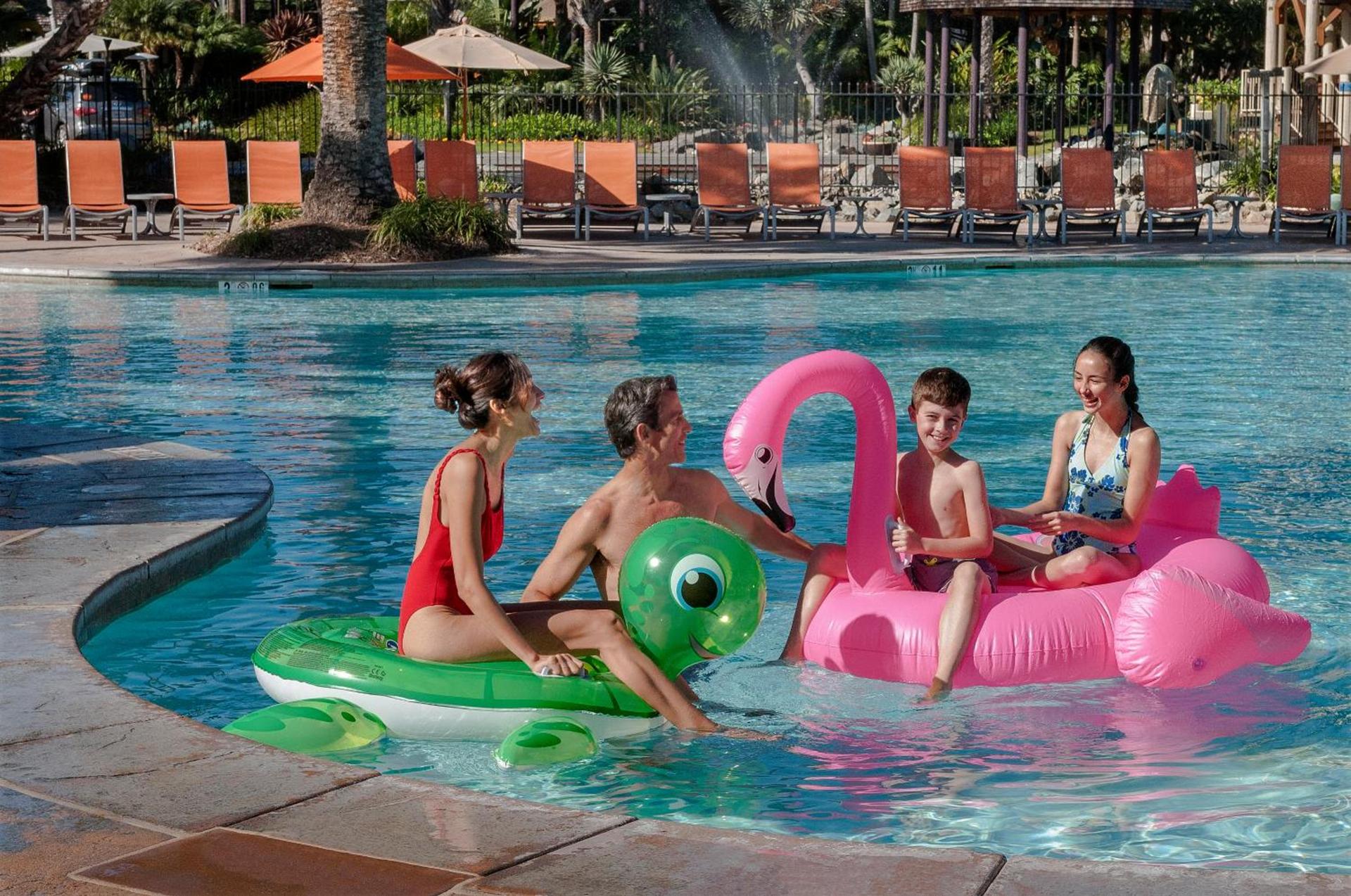 Paradise Point Resort & Spa photo 22